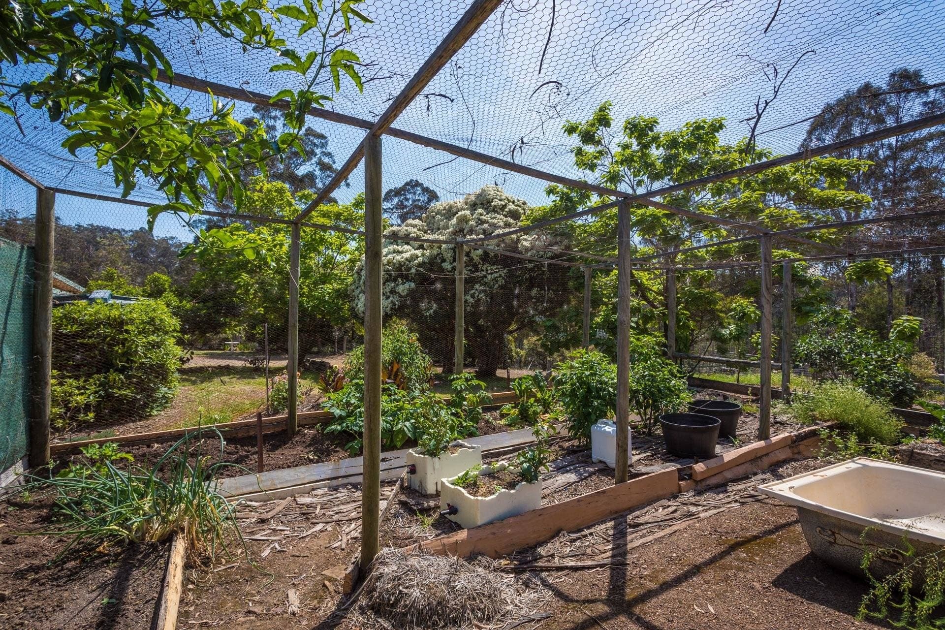 355 Oaklands Rd, Bald Hills Via, Pambula, Pambula - Thumbnail 8