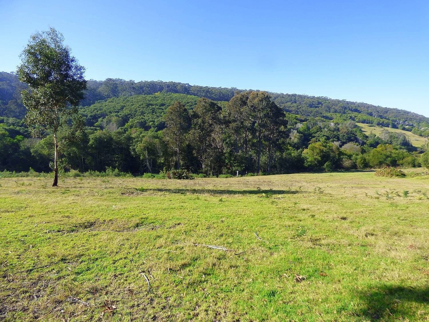 Lot 712 Tuna Way, Eden, Eden - Thumbnail 4
