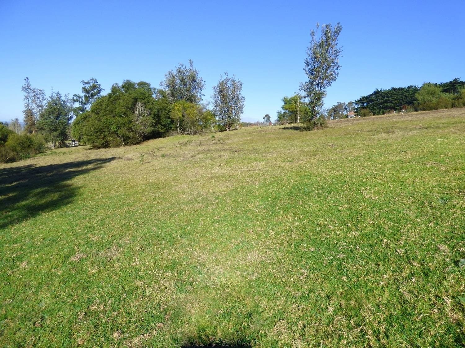 Lot 712 Tuna Way, Eden, Eden - Thumbnail 8