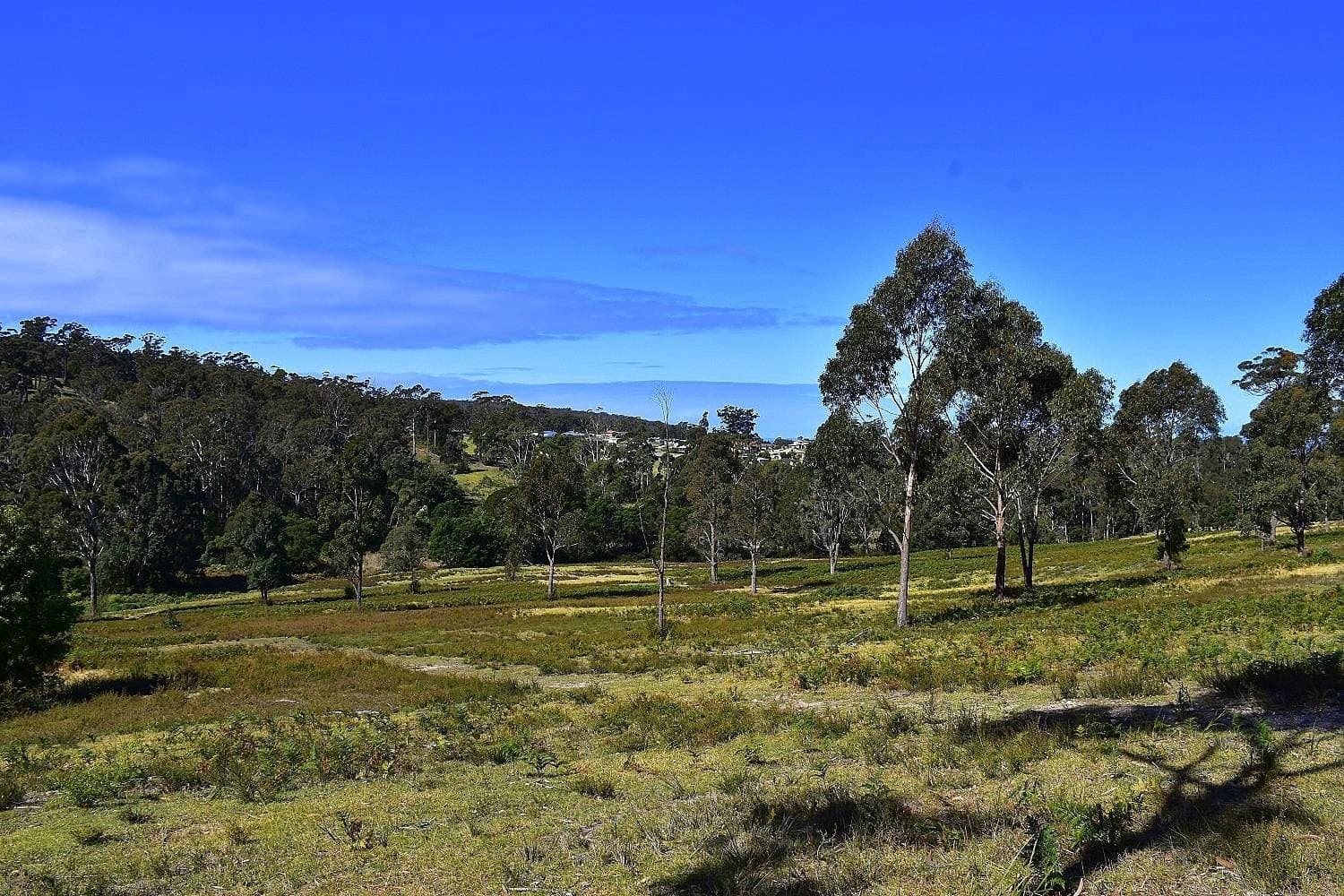 284 Komirra Drive, Eden - Image 1