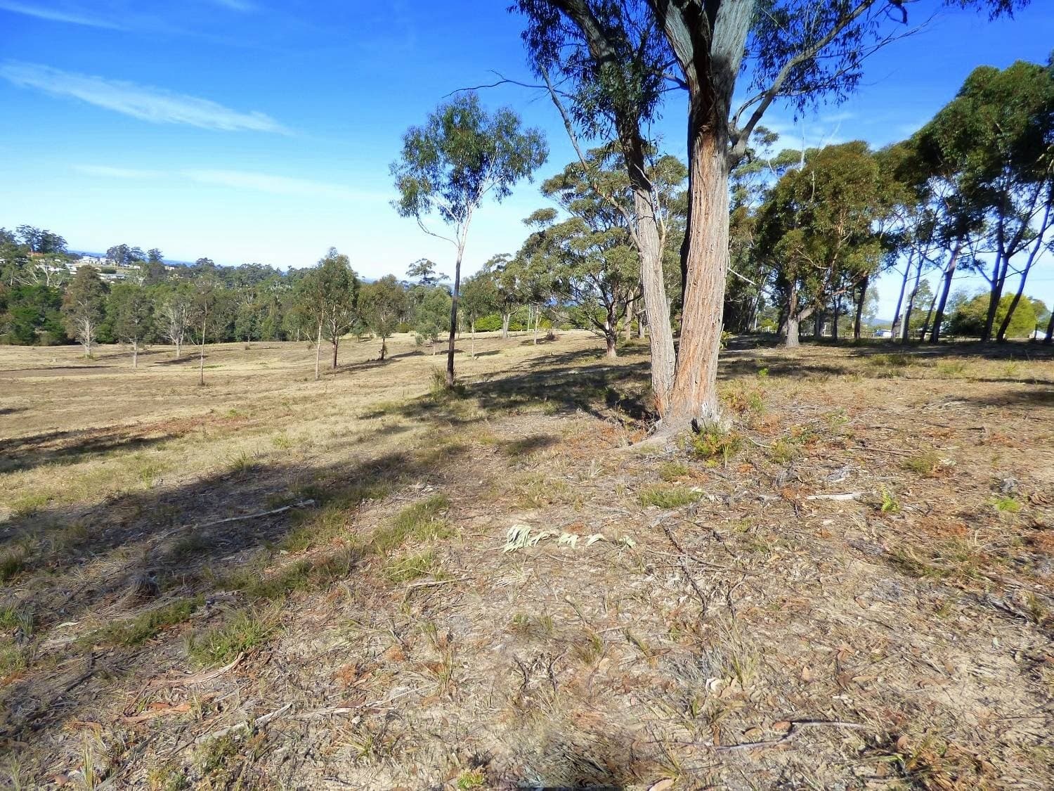 284 Komirra Drive, Eden - Thumbnail 4
