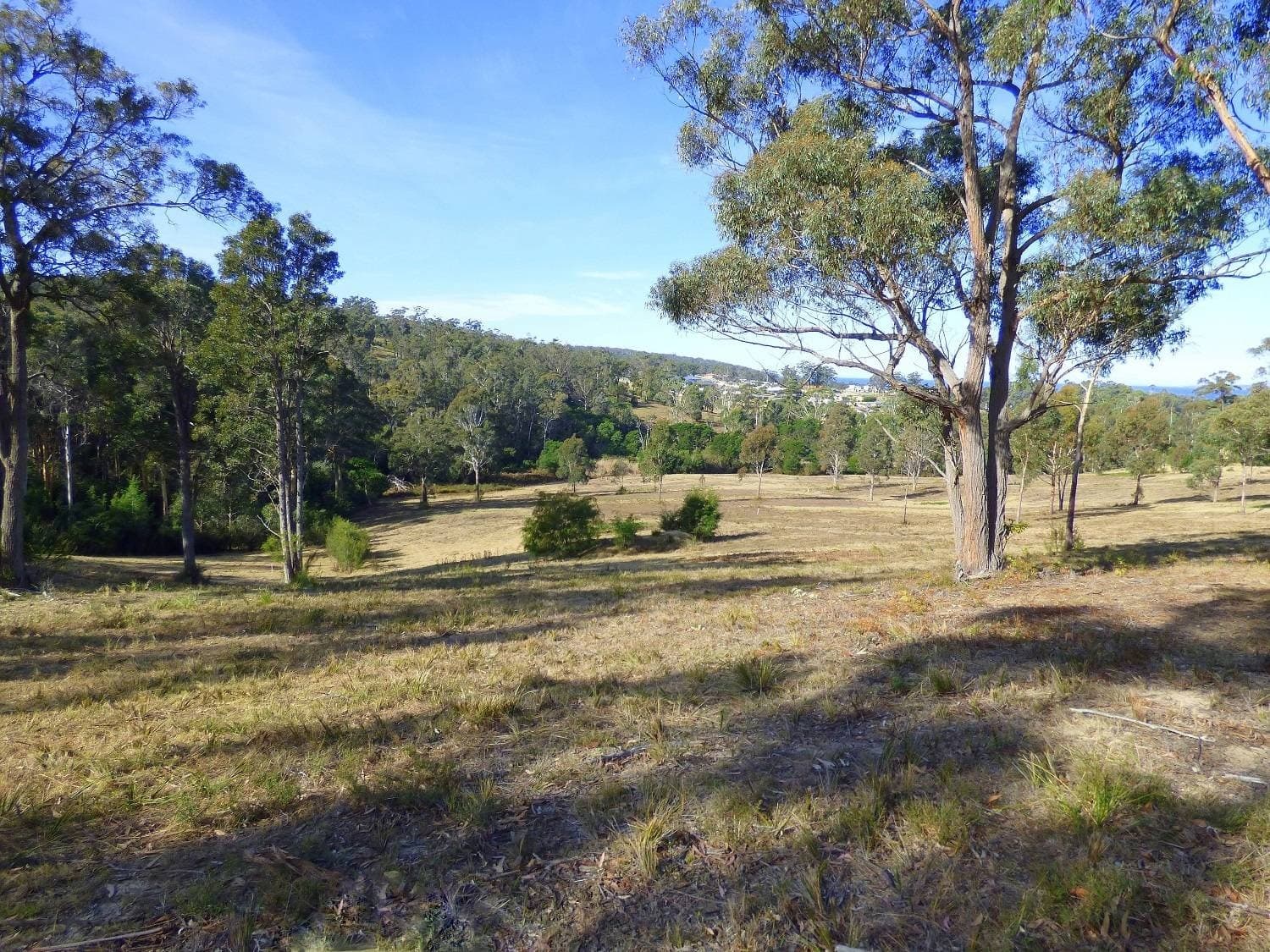 284 Komirra Drive, Eden - Thumbnail 6