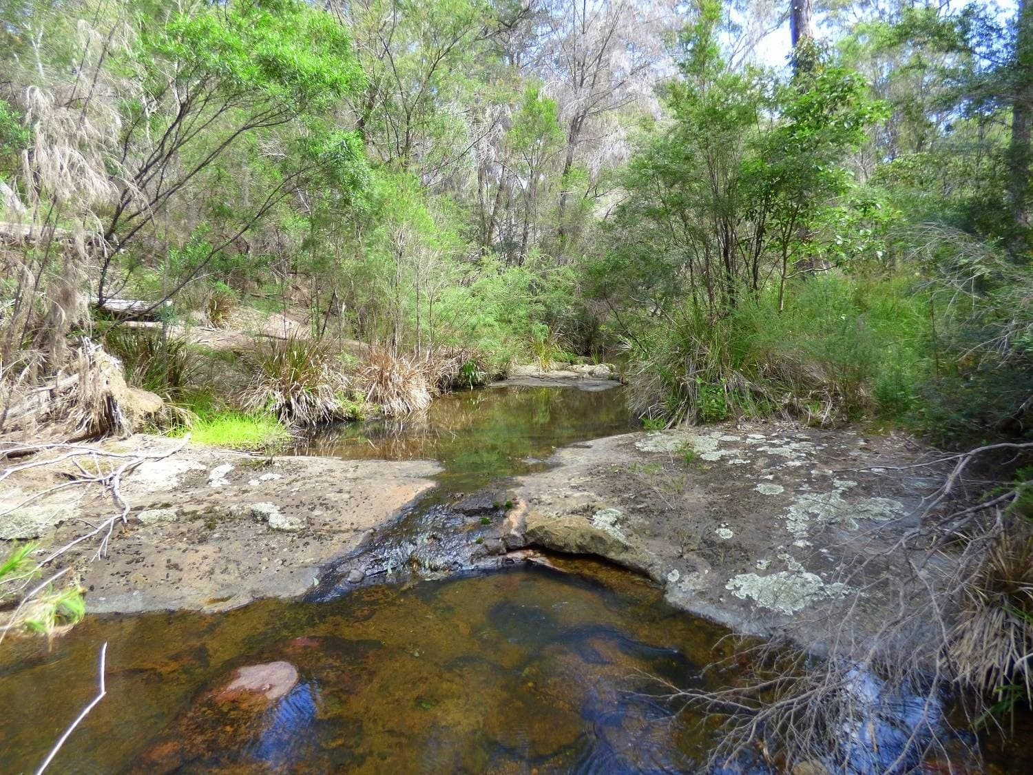 350 Back Creek Rd, Nethercote, Nethercote - Thumbnail 2
