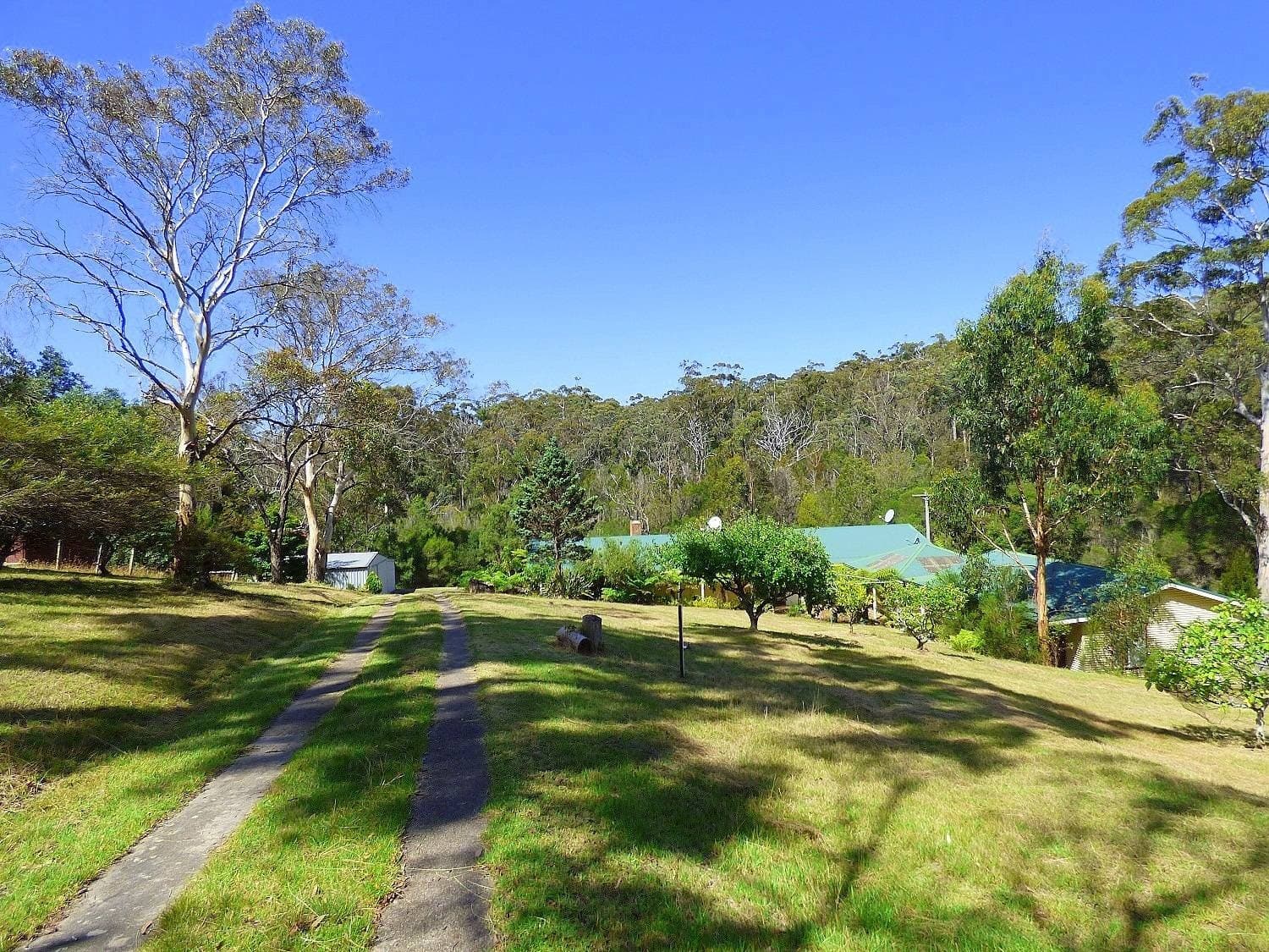 350 Back Creek Rd, Nethercote, Nethercote - Thumbnail 3