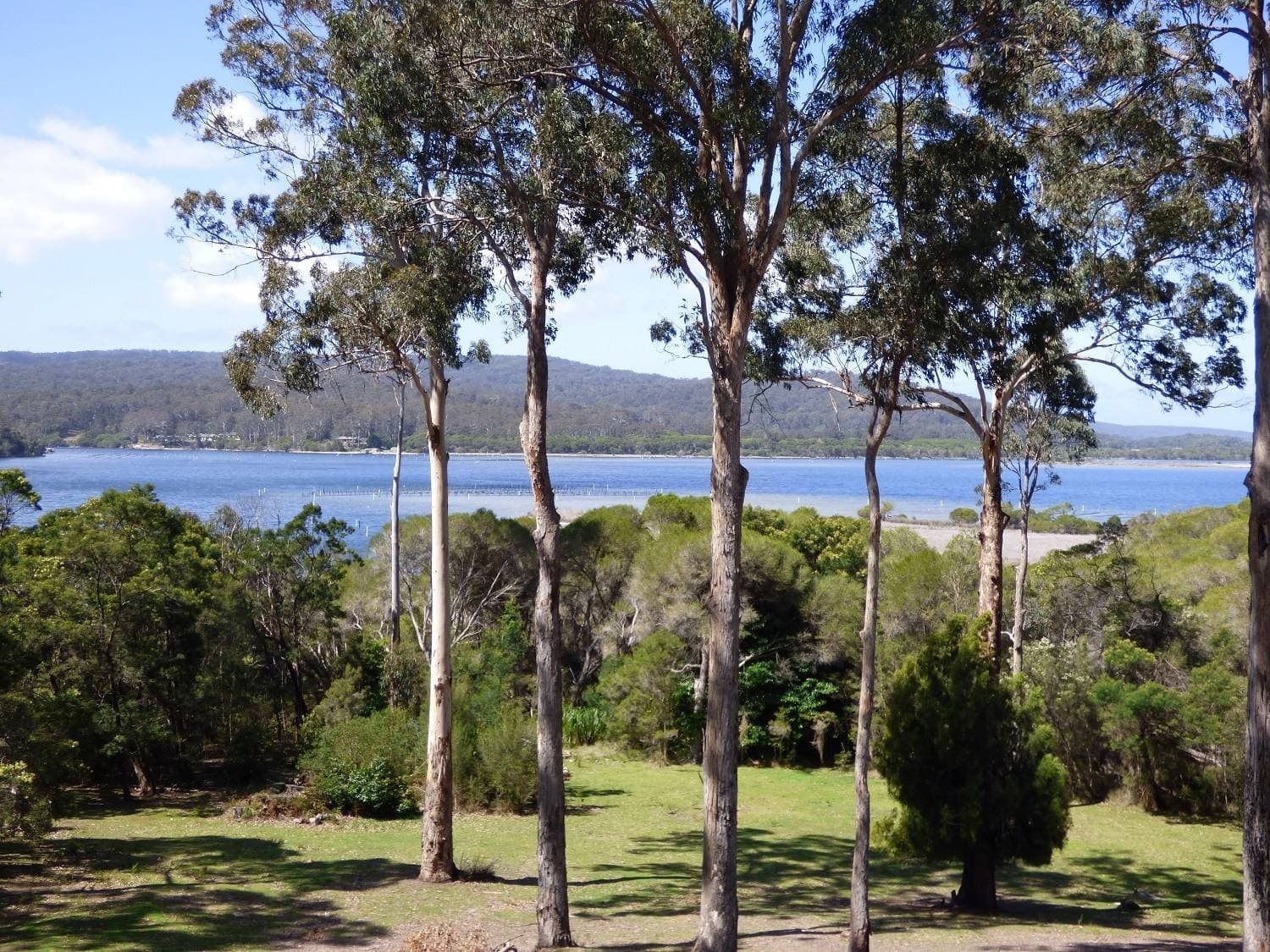 36 Gleeson Road, Wonboyn Via, Eden, Eden - Thumbnail 2