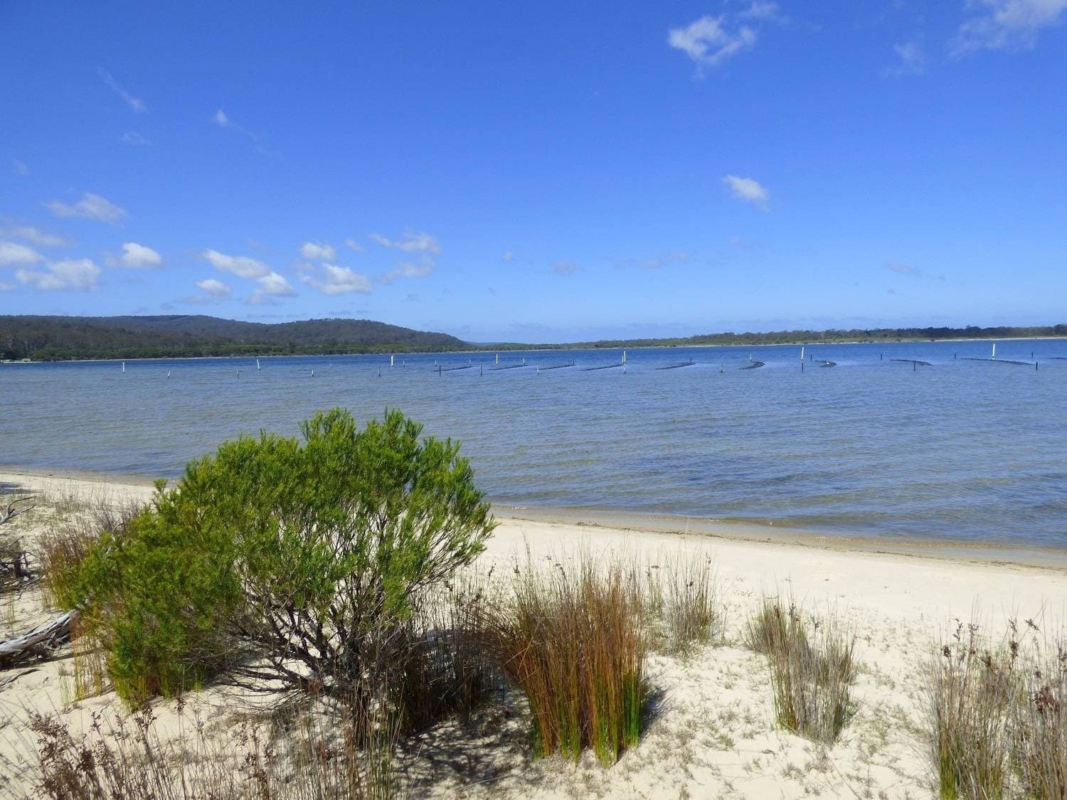 36 Gleeson Road, Wonboyn Via, Eden, Eden - Thumbnail 4