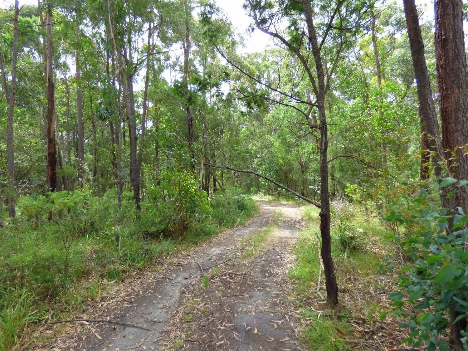 Lot 207 Hopkins Street, Eden, Eden - Thumbnail 5
