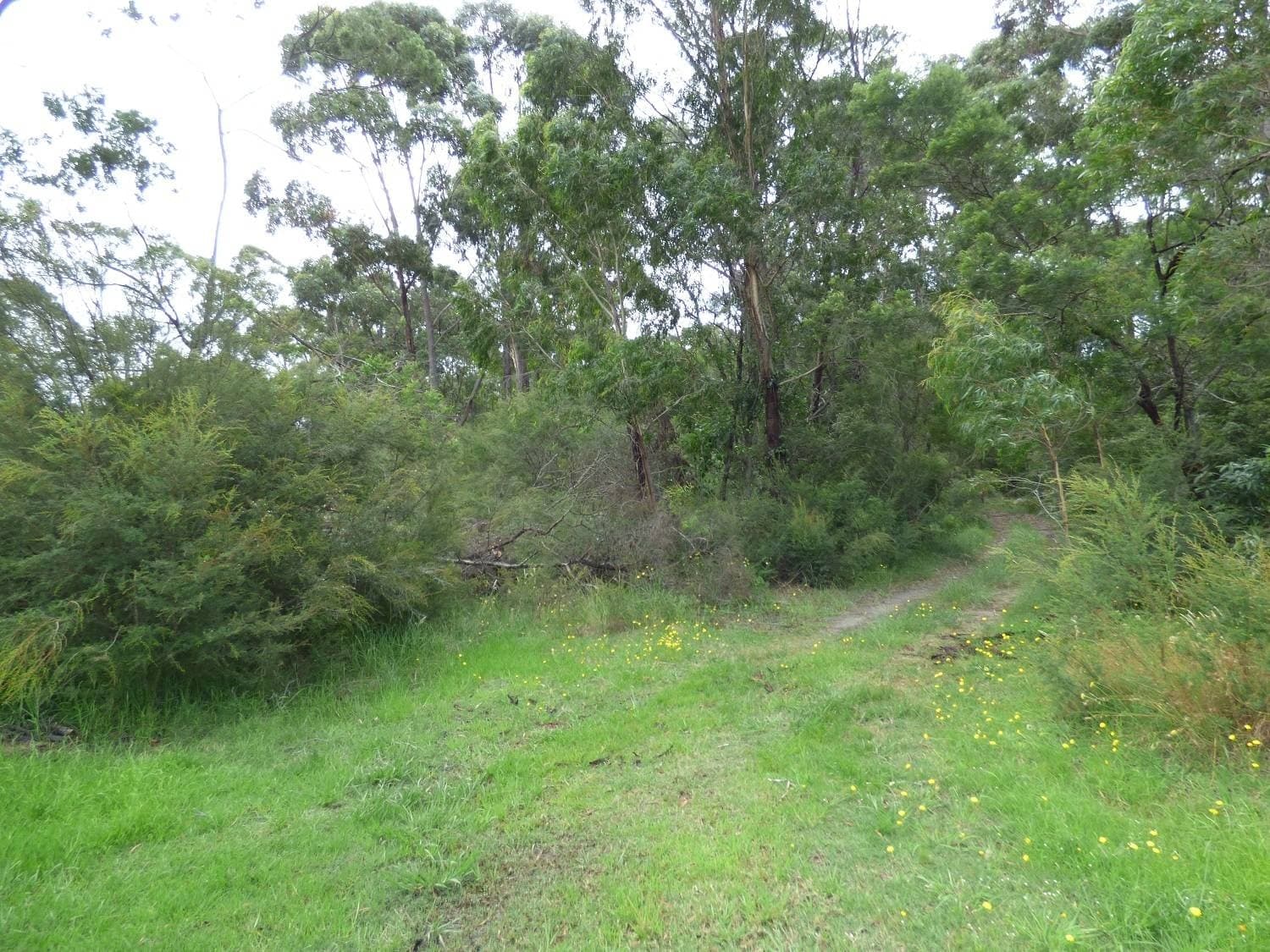 Lot 207 Hopkins Street, Eden, Eden - Thumbnail 6