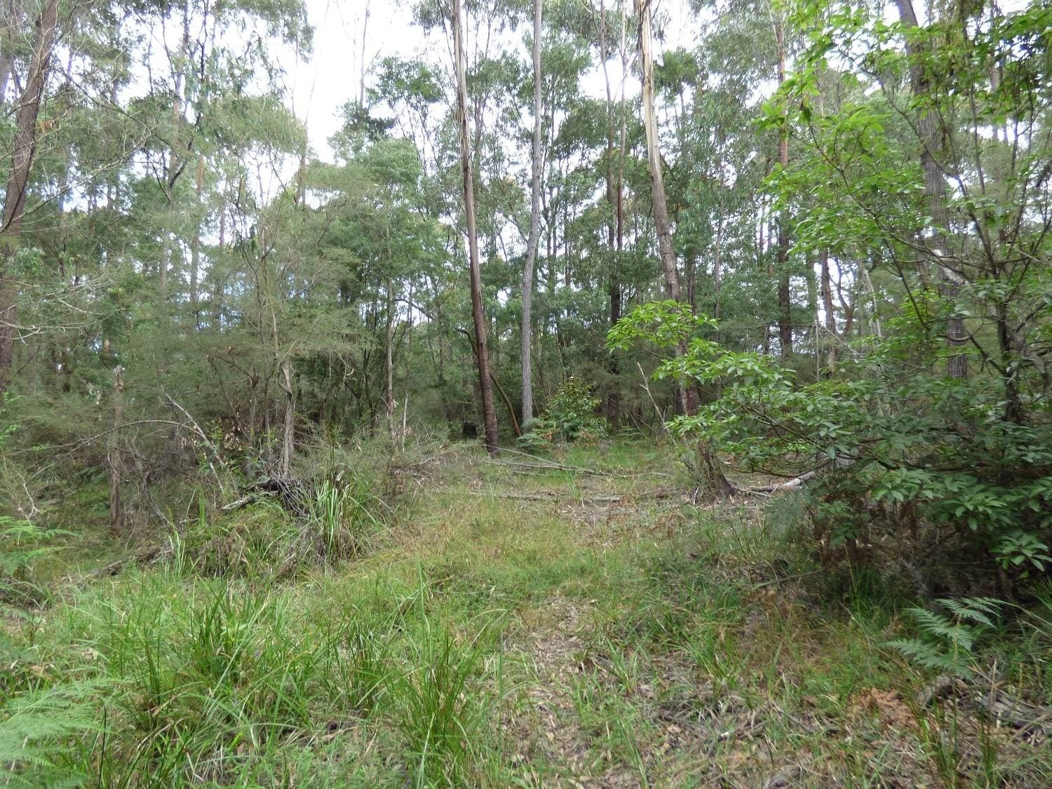 Lot 207 Hopkins Street, Eden, Eden - Thumbnail 7