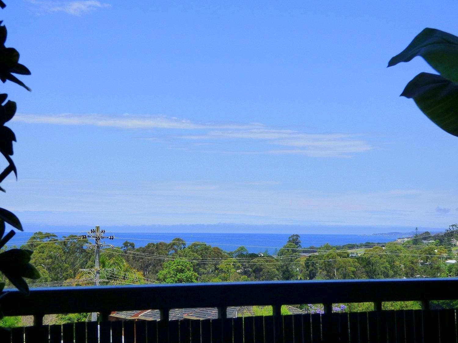 4 Wellings Ct, Eden - Thumbnail 7