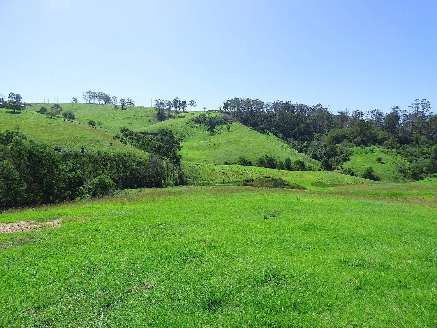90 Woodlands Lane, Millingandi, Millingandi - Thumbnail 2