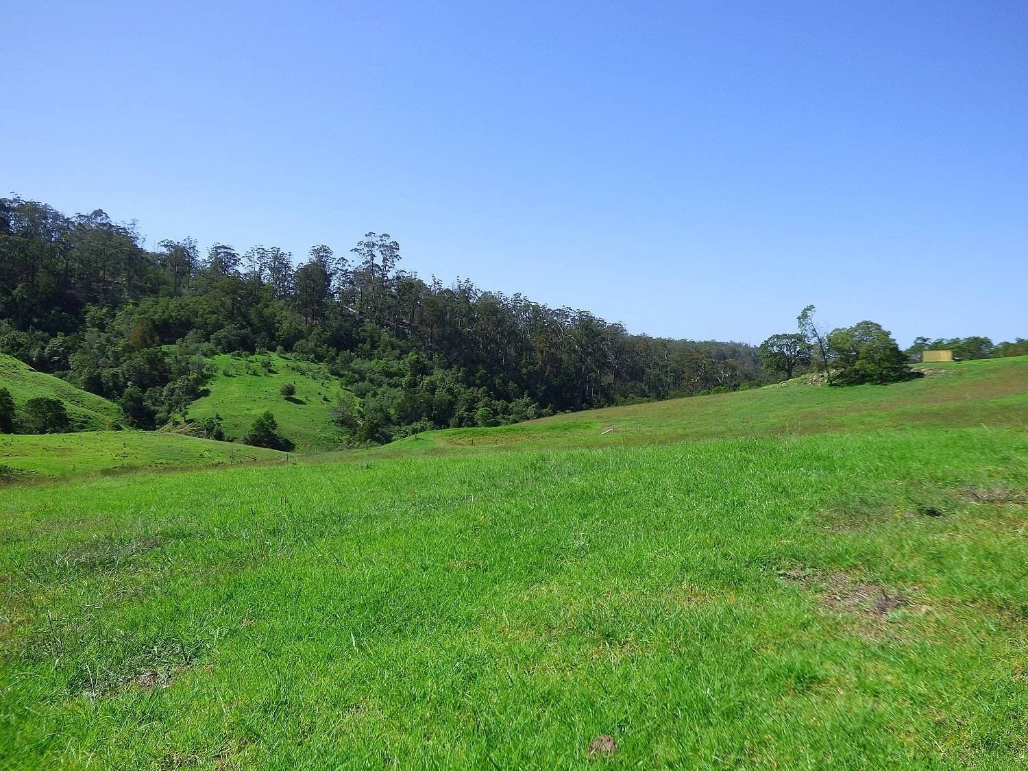 90 Woodlands Lane, Millingandi, Millingandi - Thumbnail 8
