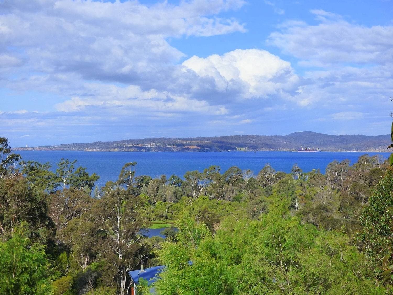 4 Whale Cove Cct, Eden, Eden - Image 1