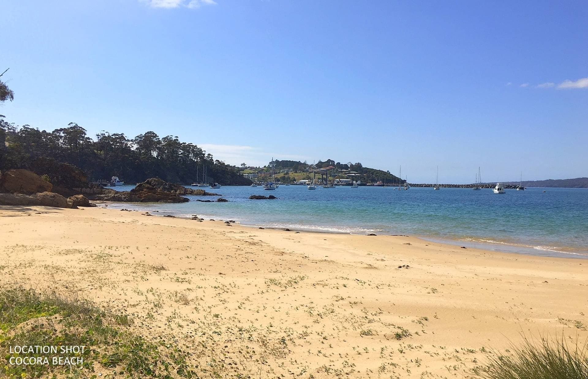 4 Whale Cove Cct, Eden, Eden - Thumbnail 8