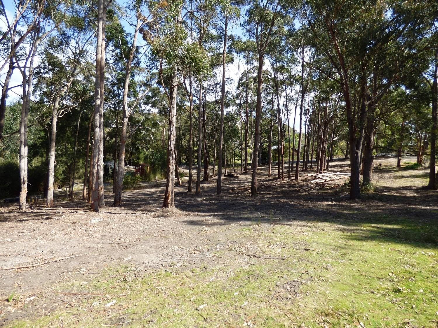 27 Wonboyn Road, WONBOYN Via, Eden, Eden - Thumbnail 4