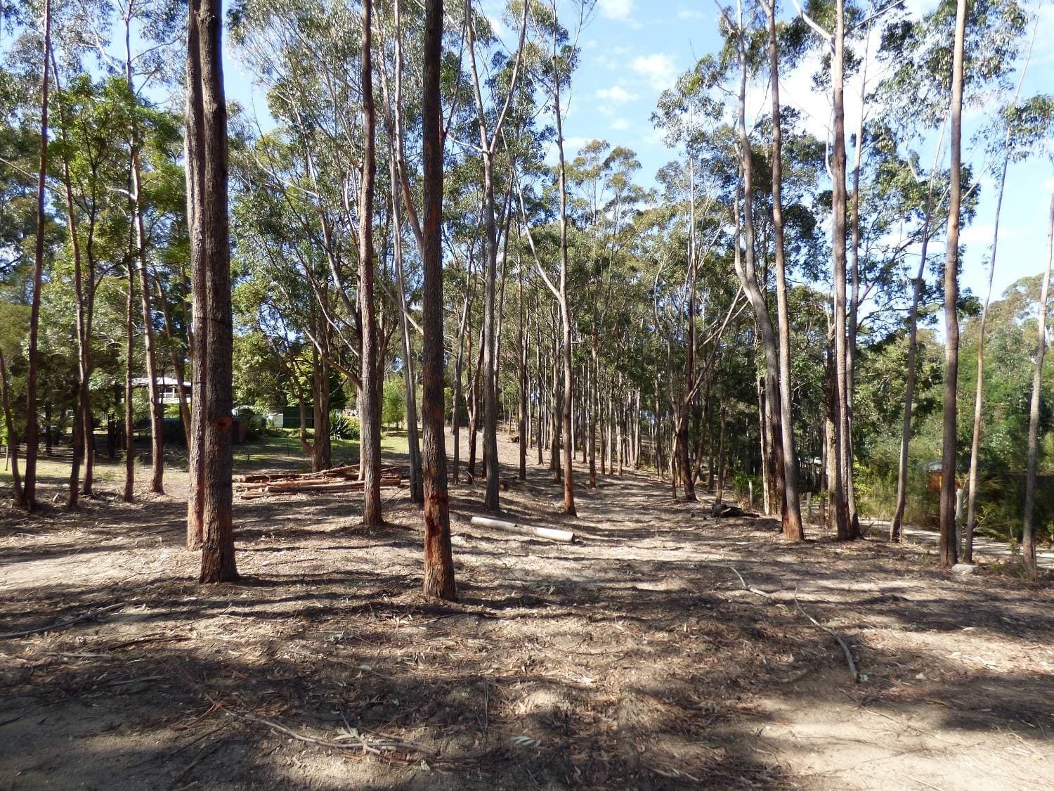 27 Wonboyn Road, WONBOYN Via, Eden, Eden - Thumbnail 5