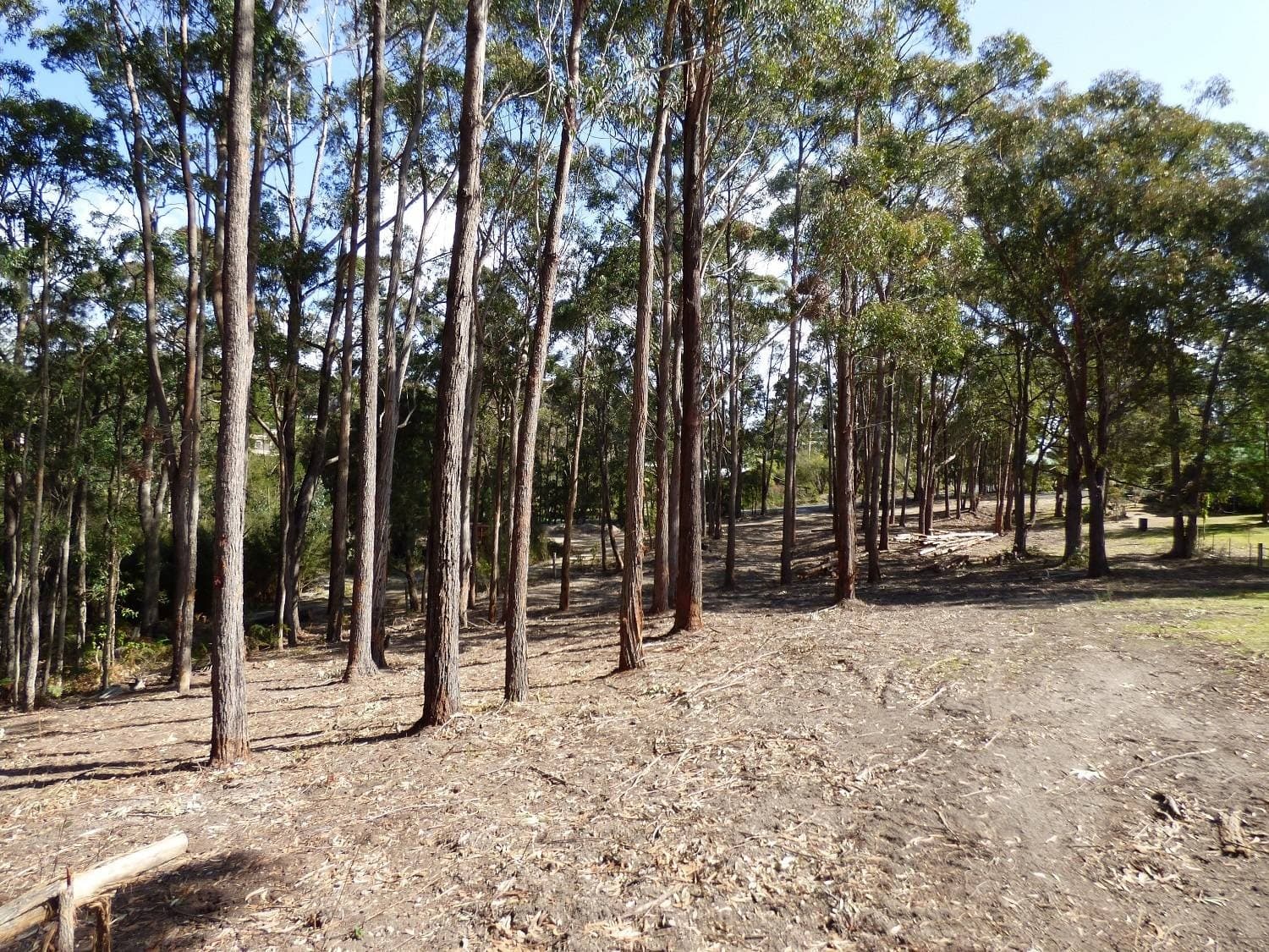 27 Wonboyn Road, WONBOYN Via, Eden, Eden - Thumbnail 6