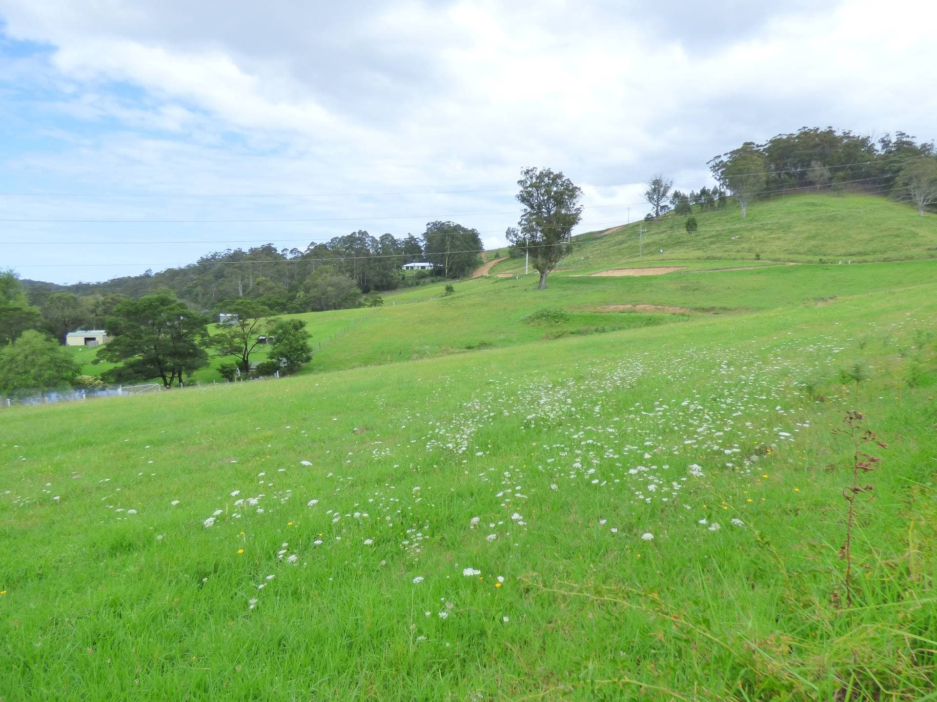 660 Mine Road, Wolumla - Image 1