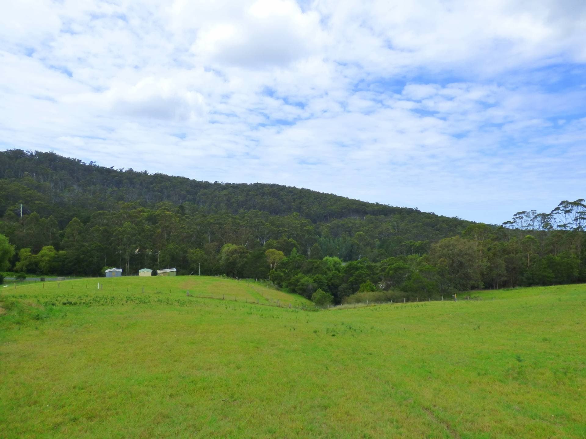 660 Mine Road, Wolumla - Thumbnail 4