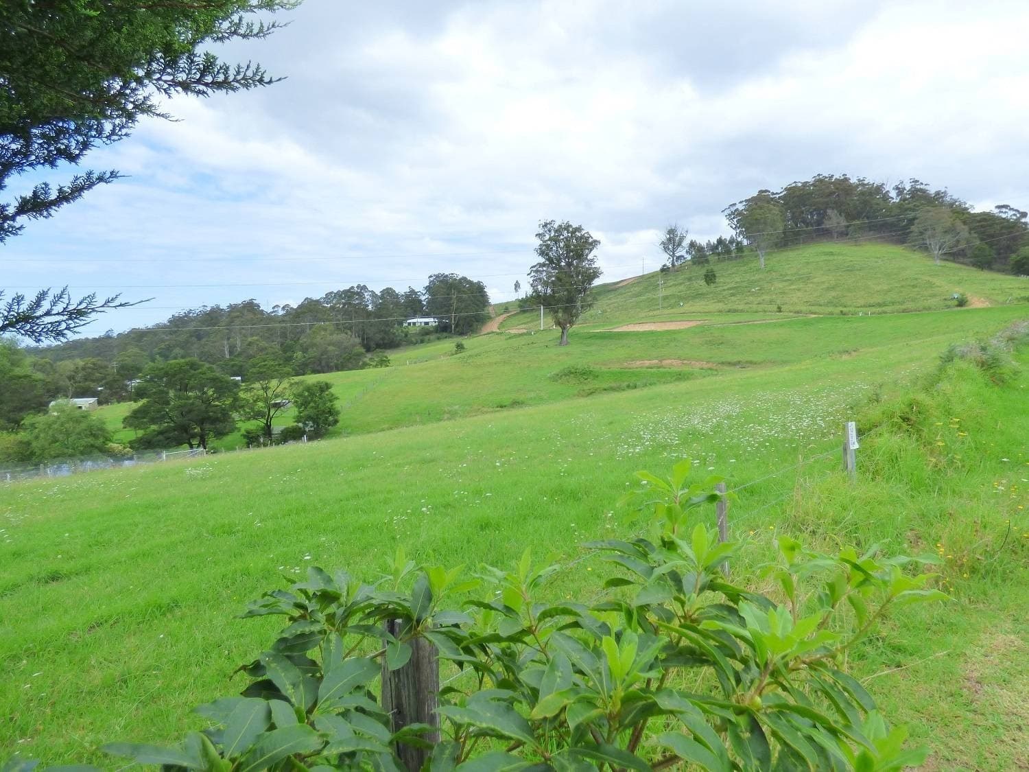 660 Mine Road, Wolumla - Thumbnail 5