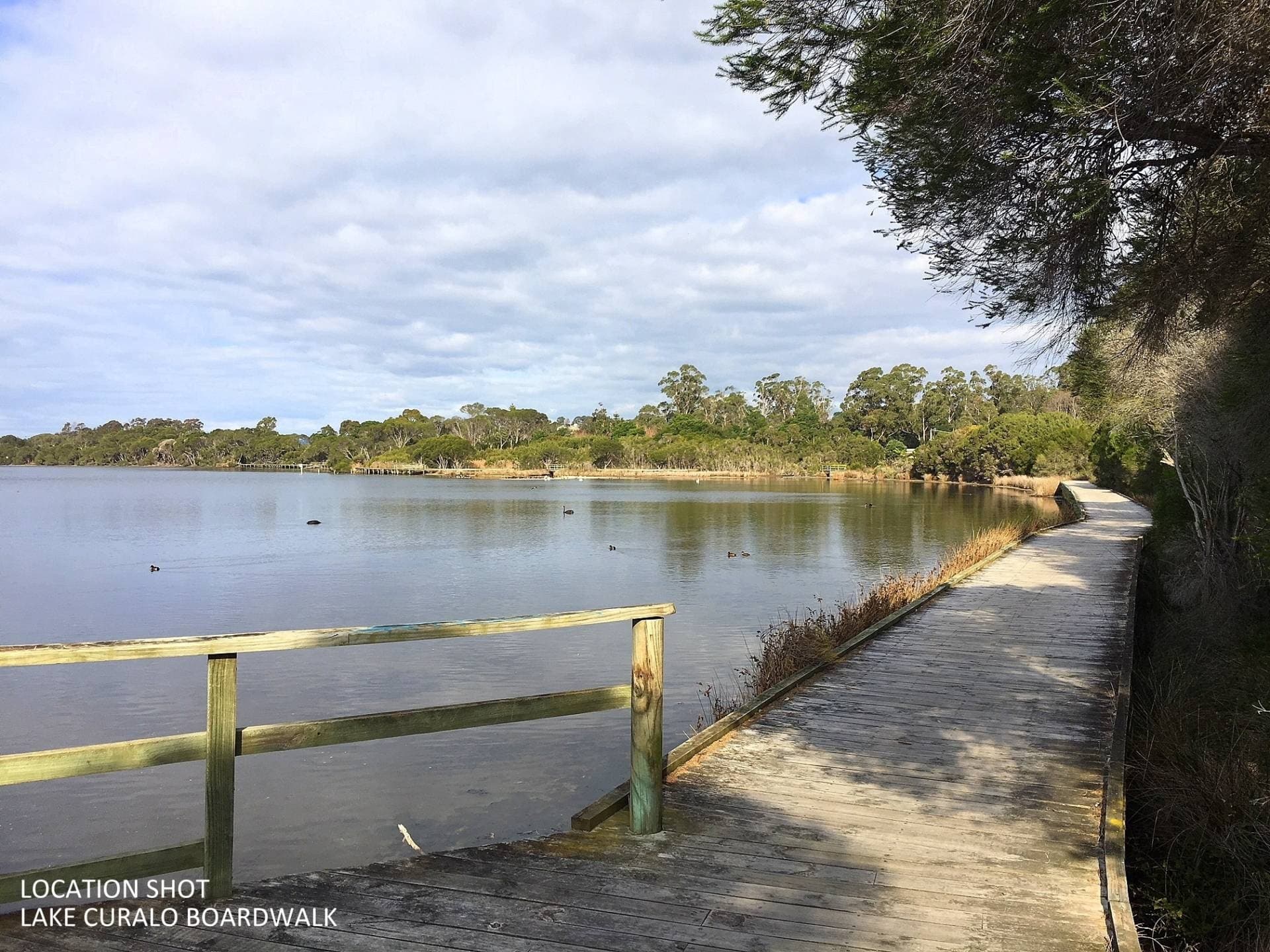 2 Wave Street, Eden - Thumbnail 6