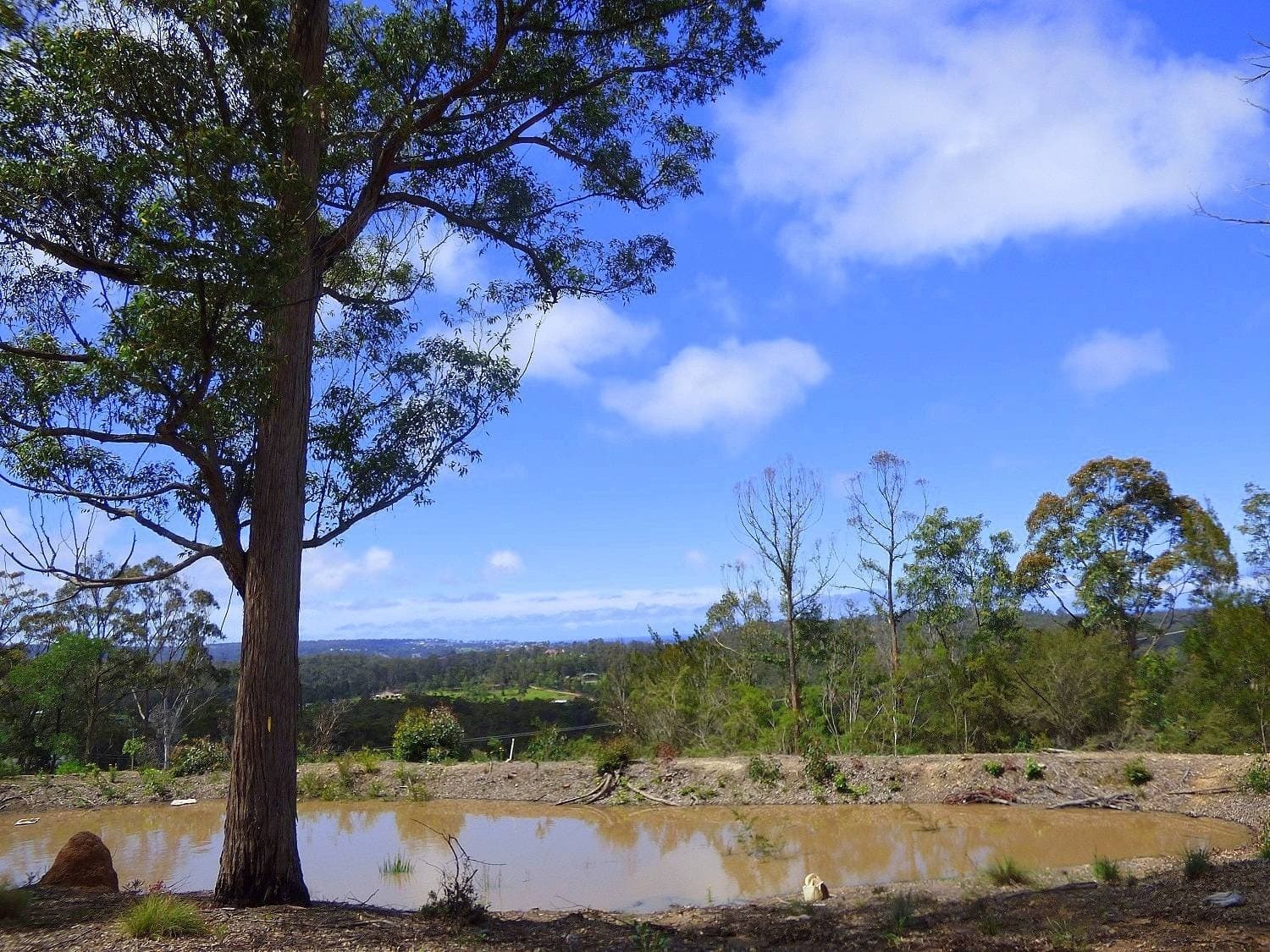 81 Mac Hill Place, Bald Hills Via, Pambula - Thumbnail 3
