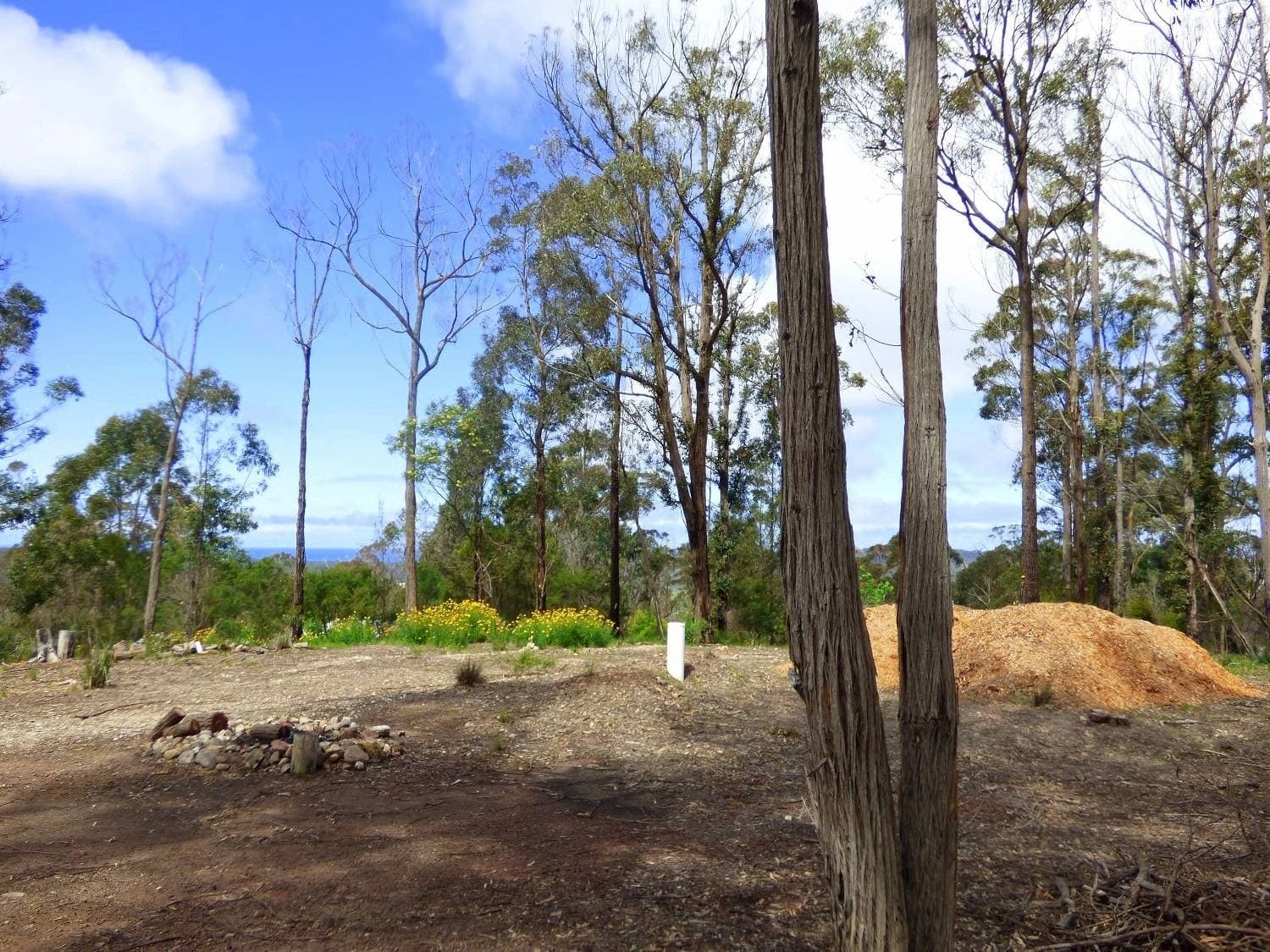 81 Mac Hill Place, Bald Hills Via, Pambula - Thumbnail 6
