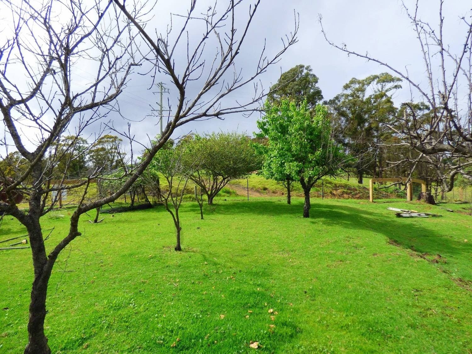 3 Hazelnut Drive, KIAH Via, Eden, Eden - Image 1