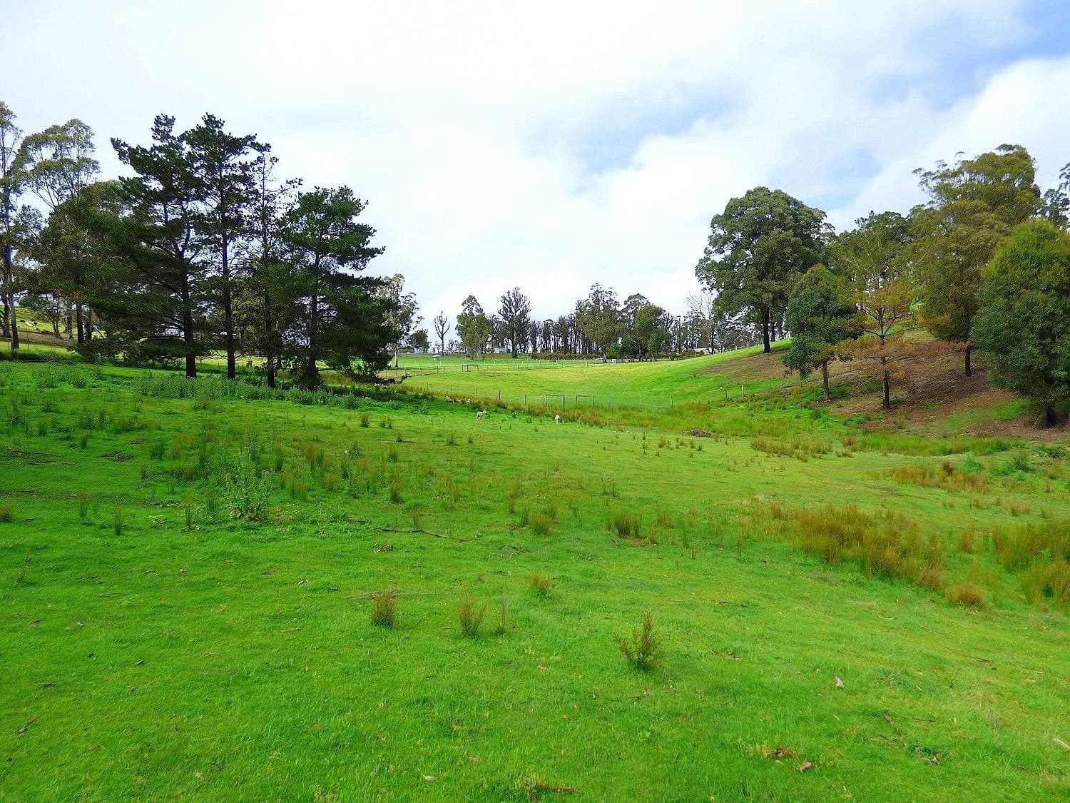 3 Hazelnut Drive, KIAH Via, Eden, Eden - Thumbnail 3