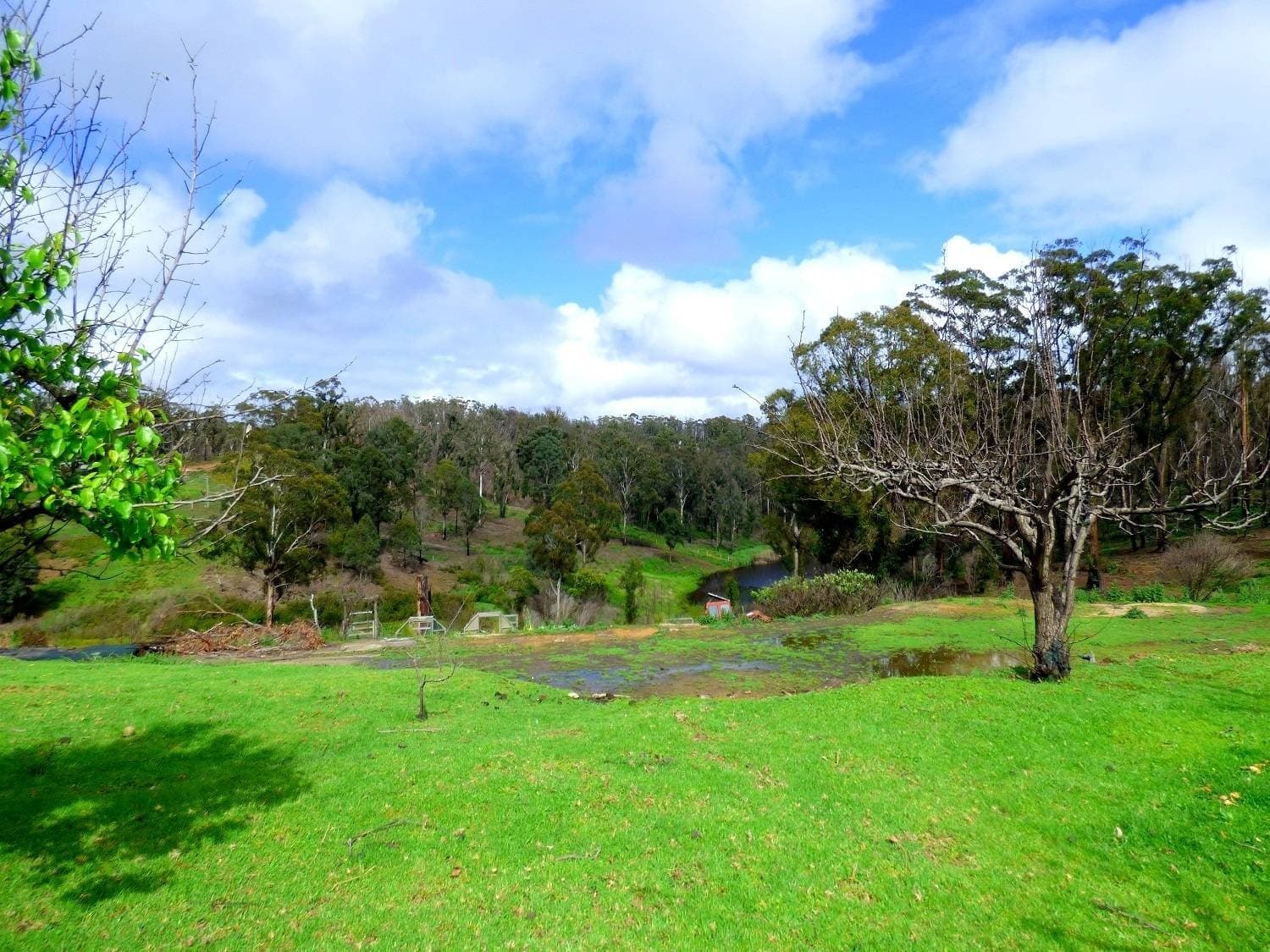 3 Hazelnut Drive, KIAH Via, Eden, Eden - Thumbnail 7