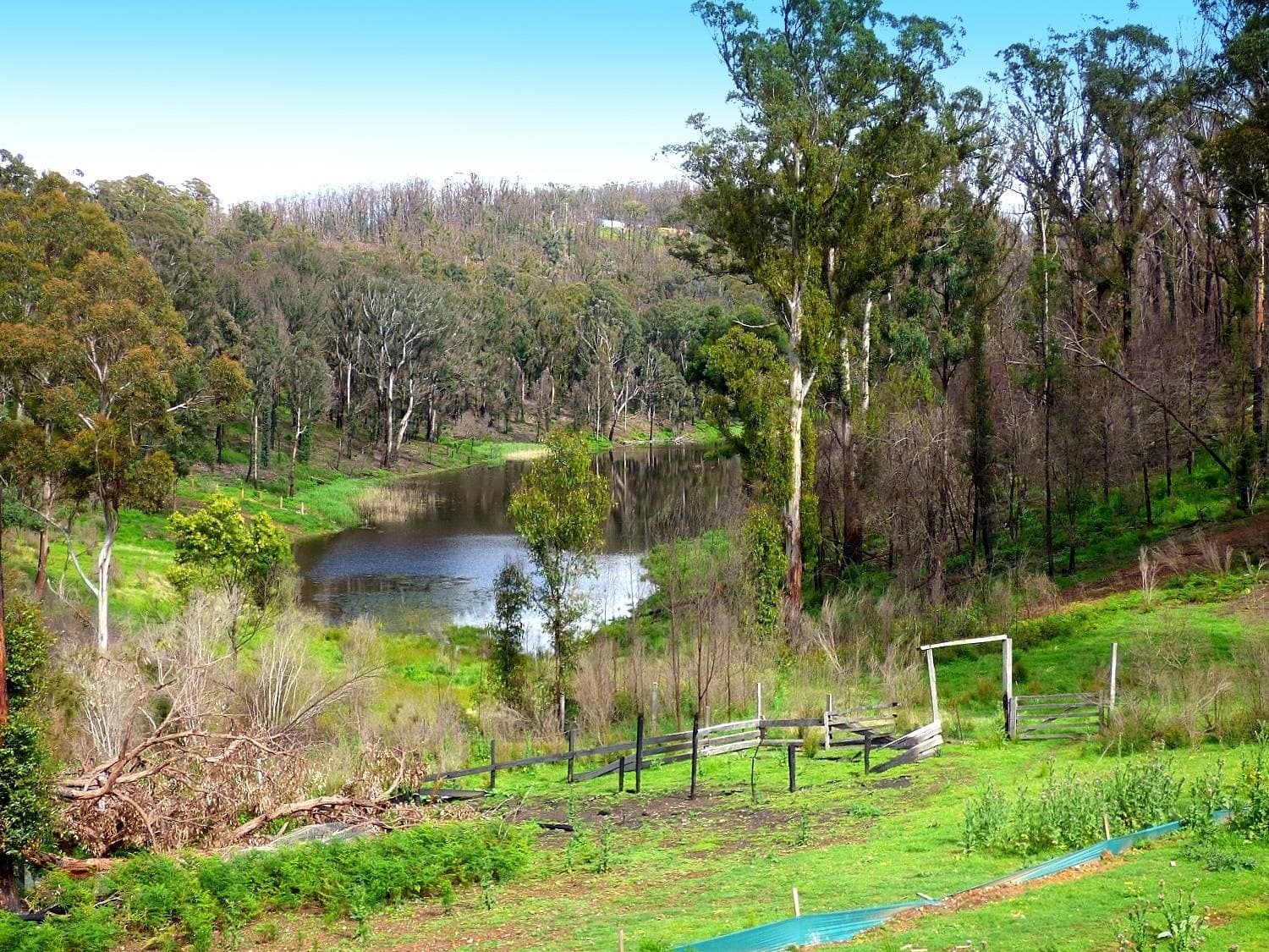 3 Hazelnut Drive, KIAH Via, Eden, Eden - Thumbnail 8
