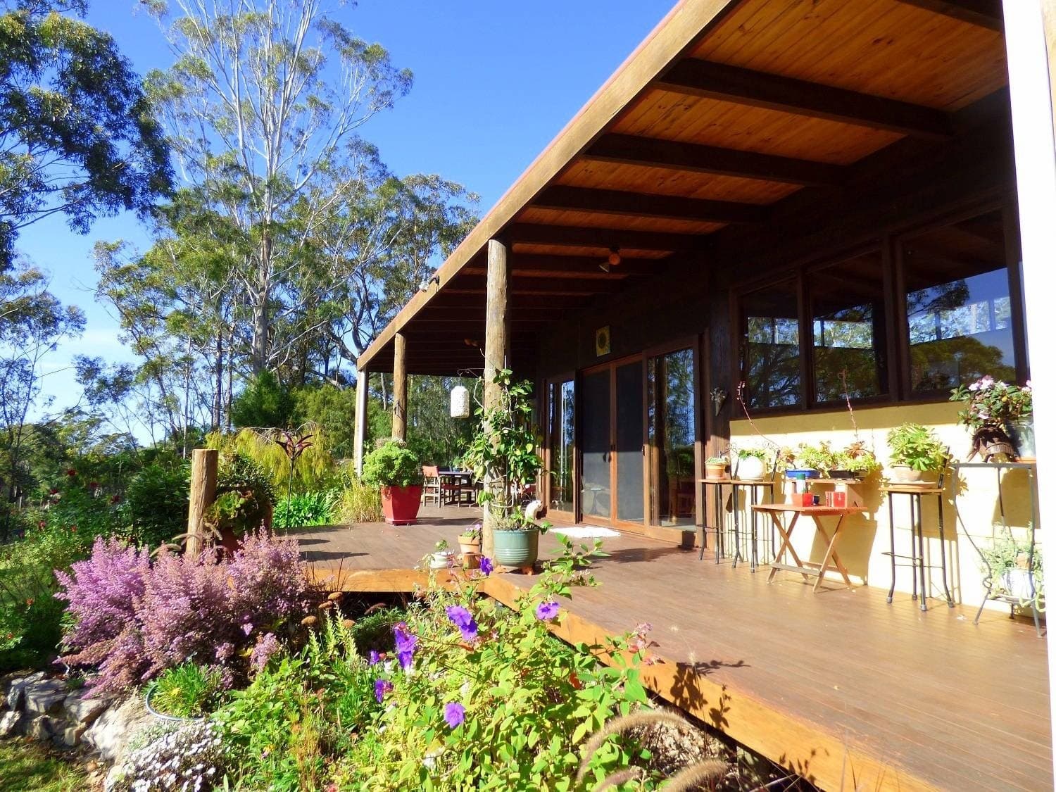 81 Settlers Rd, Greigs Flat Via, Pambula, Pambula - Thumbnail 4