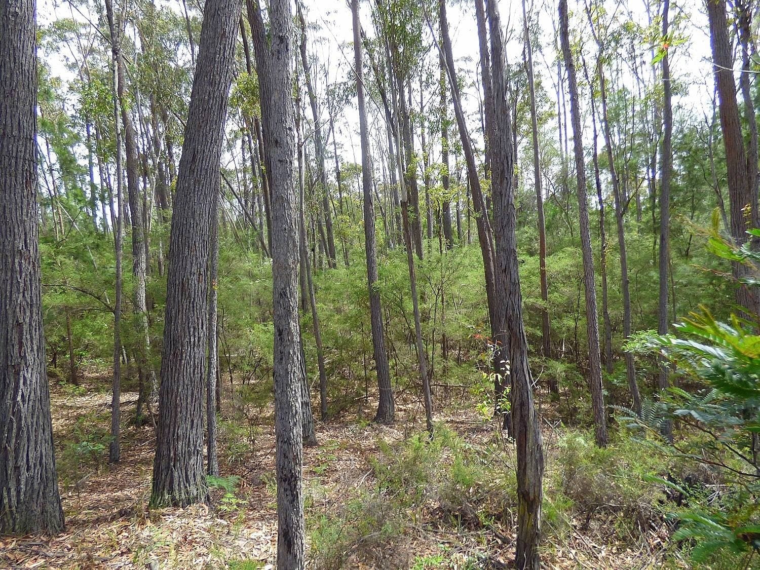 Lot 12 Landing Road, Broadwater, Broadwater - Thumbnail 4