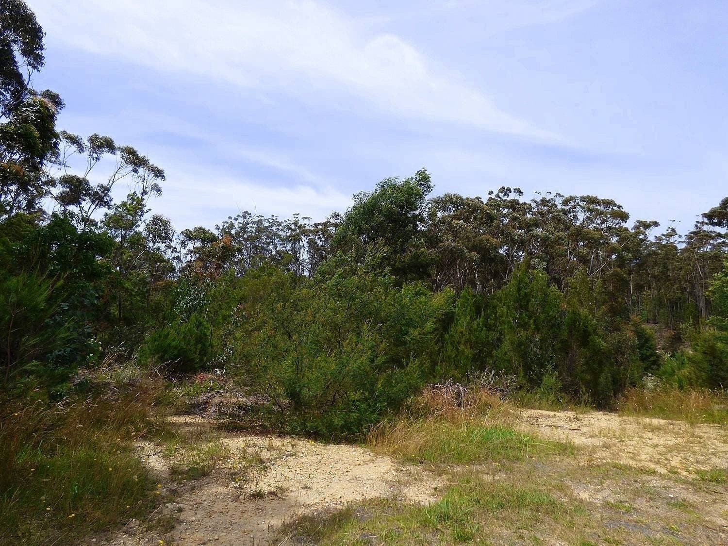Lot 12 Landing Road, Broadwater, Broadwater - Thumbnail 5
