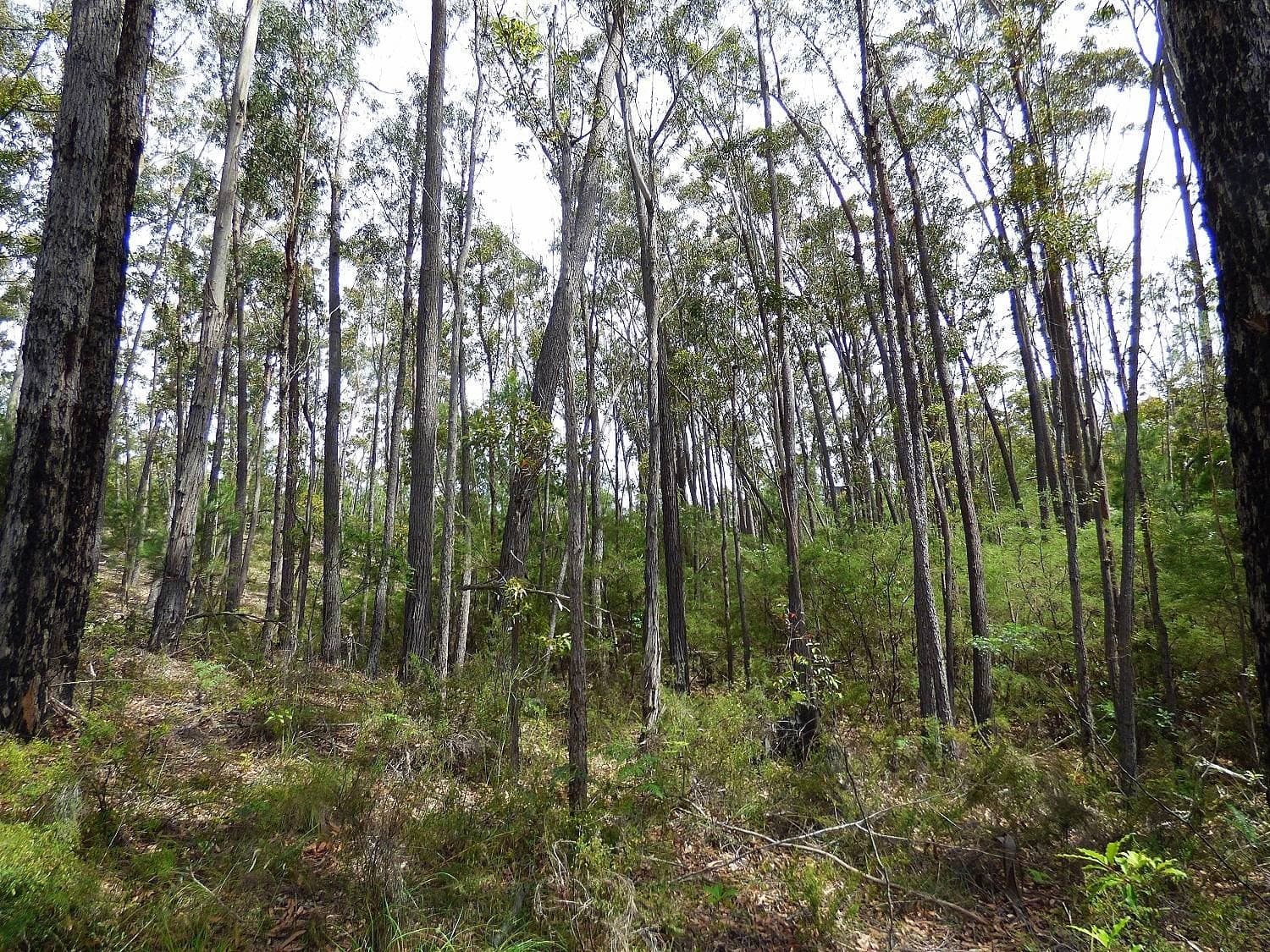 Lot 12 Landing Road, Broadwater, Broadwater - Thumbnail 7