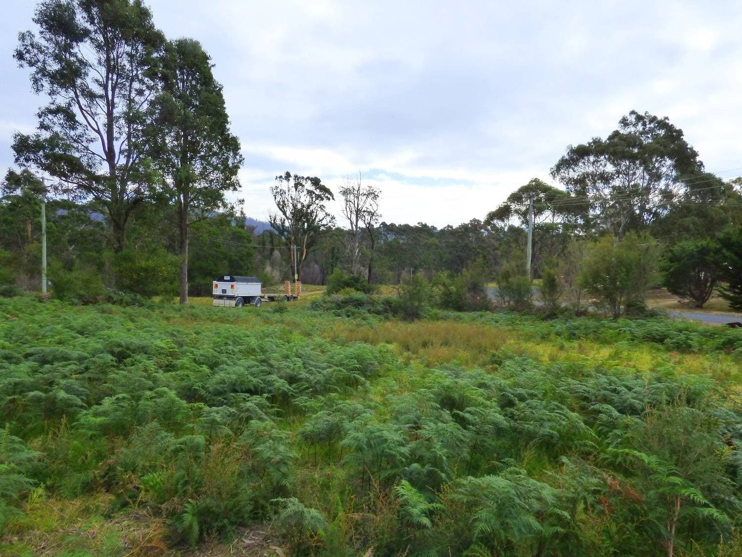 Lot 152 Dawson Avenue, WONBOYN Via, Eden, Eden - Thumbnail 7