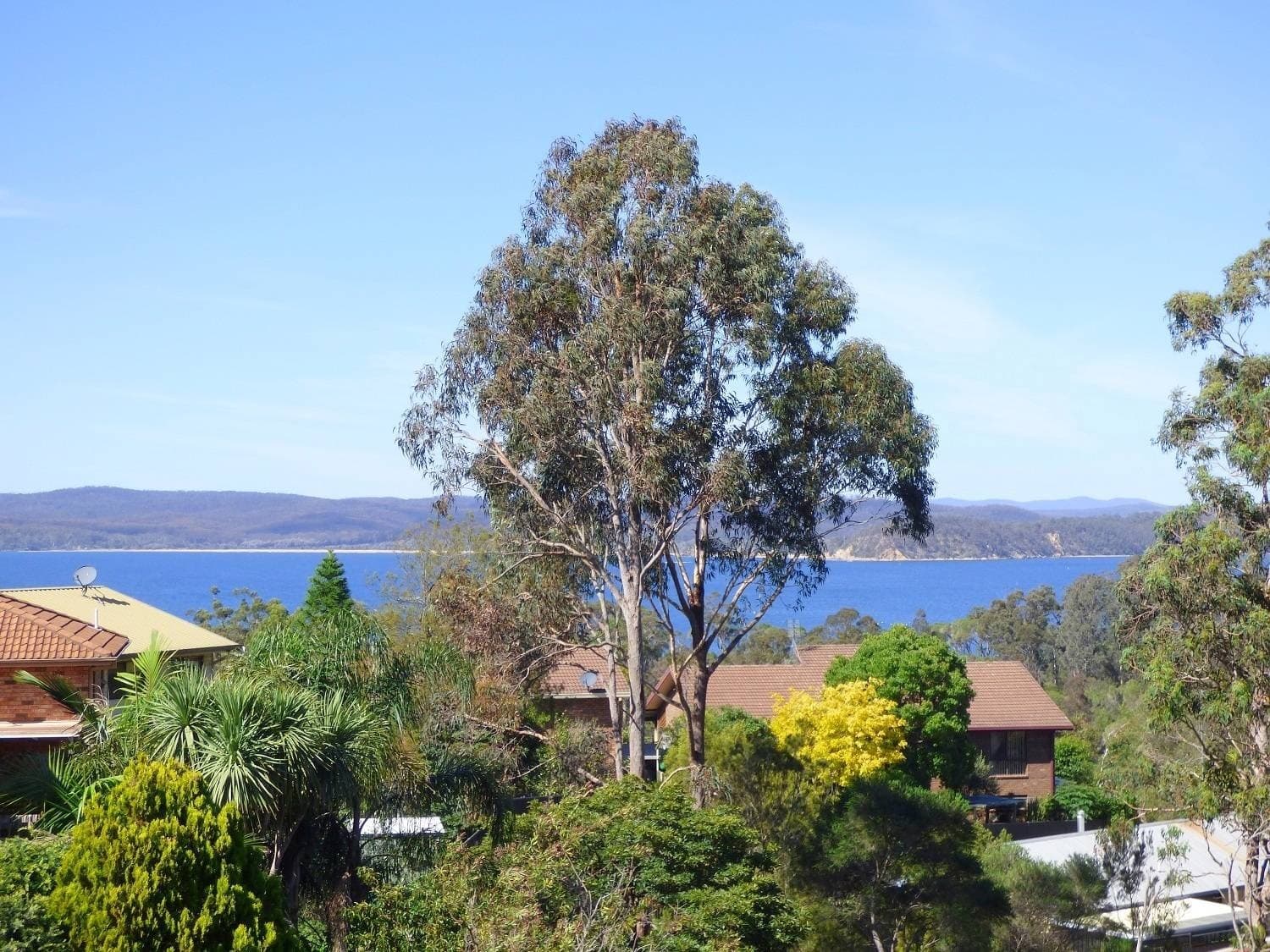 6 Bellbird Ct, Eden - Thumbnail 2