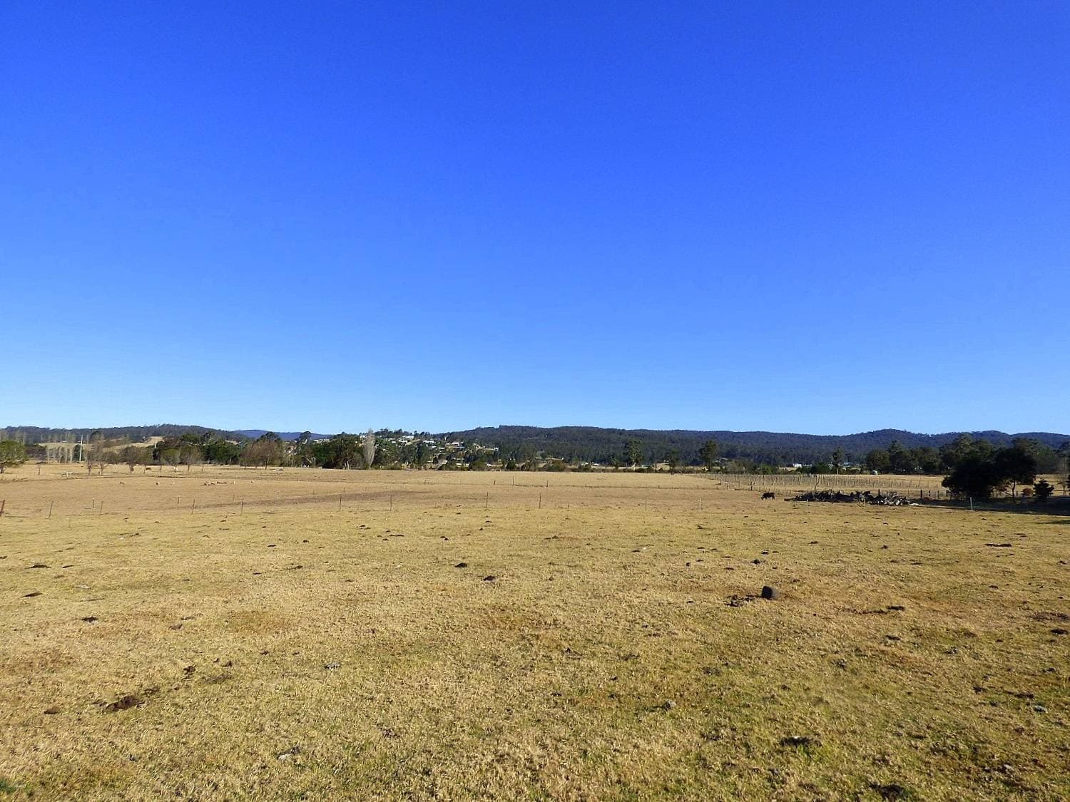 Proposed Lot 22 103 Oaklands Road, Pambula, Pambula - Image 1