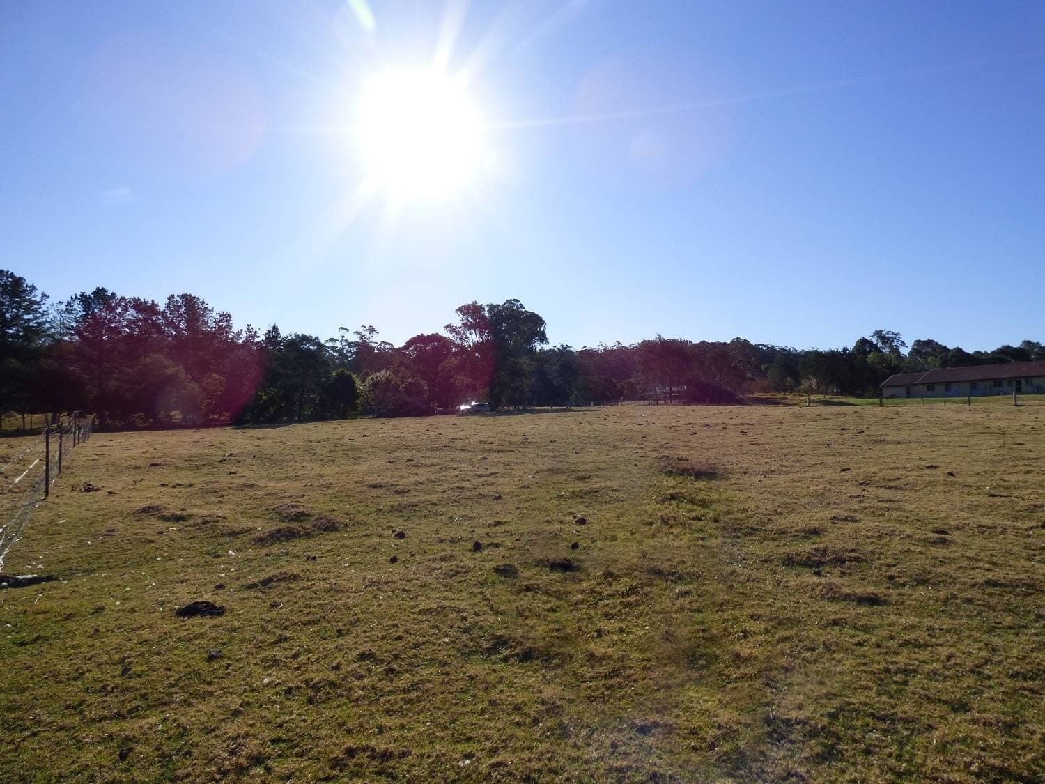 Proposed Lot 22 103 Oaklands Road, Pambula, Pambula - Thumbnail 7