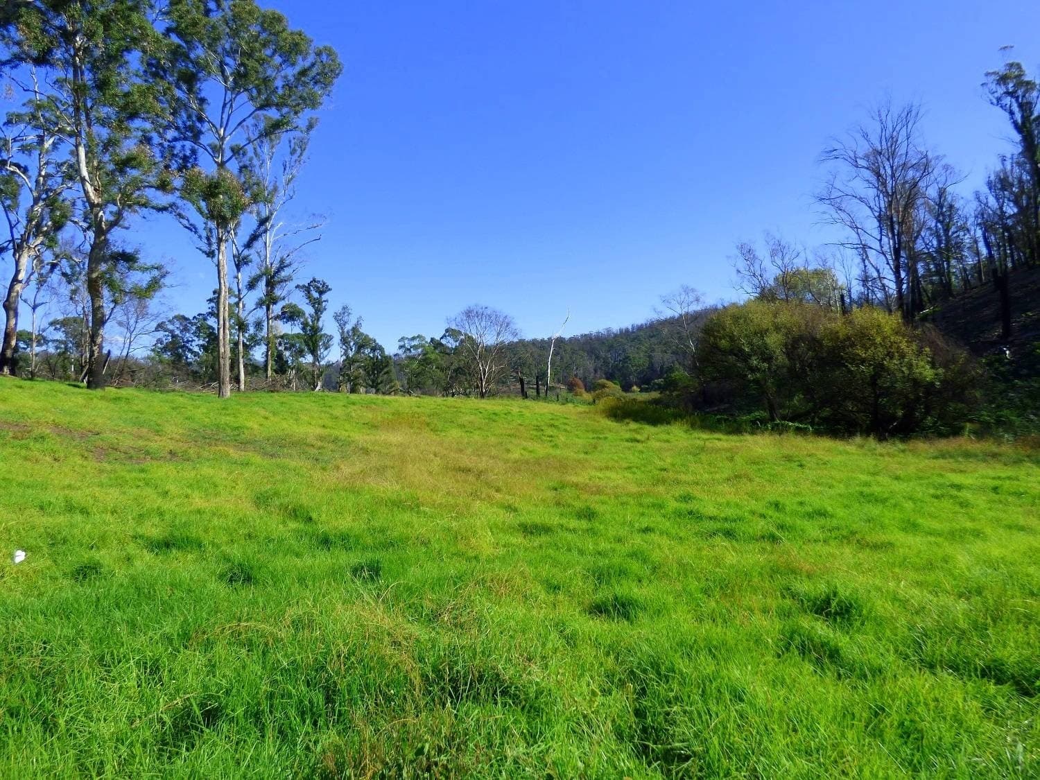 Lot 1 Princes Highway, Kiah Via, Eden, Eden - Thumbnail 2