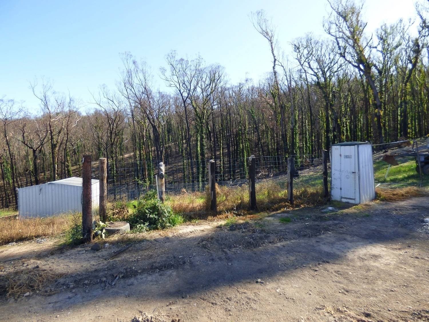 Lot 1 Princes Highway, Kiah Via, Eden, Eden - Thumbnail 4