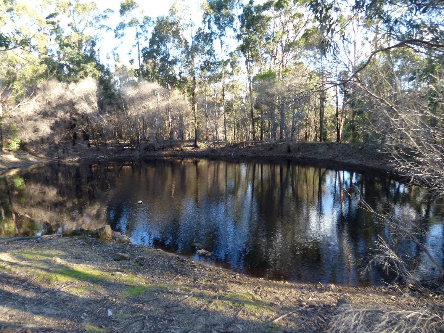 Lot 30 Dawson Avenue WOBOYN Via, Eden, Eden - Thumbnail 2