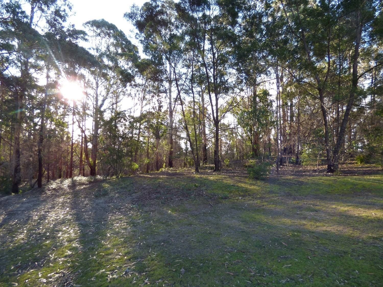 Lot 30 Dawson Avenue WOBOYN Via, Eden, Eden - Thumbnail 6