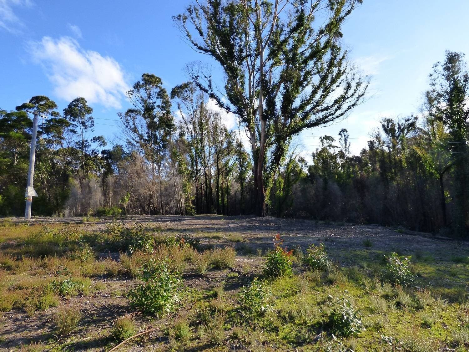 Lot 30 Dawson Avenue WOBOYN Via, Eden, Eden - Thumbnail 7