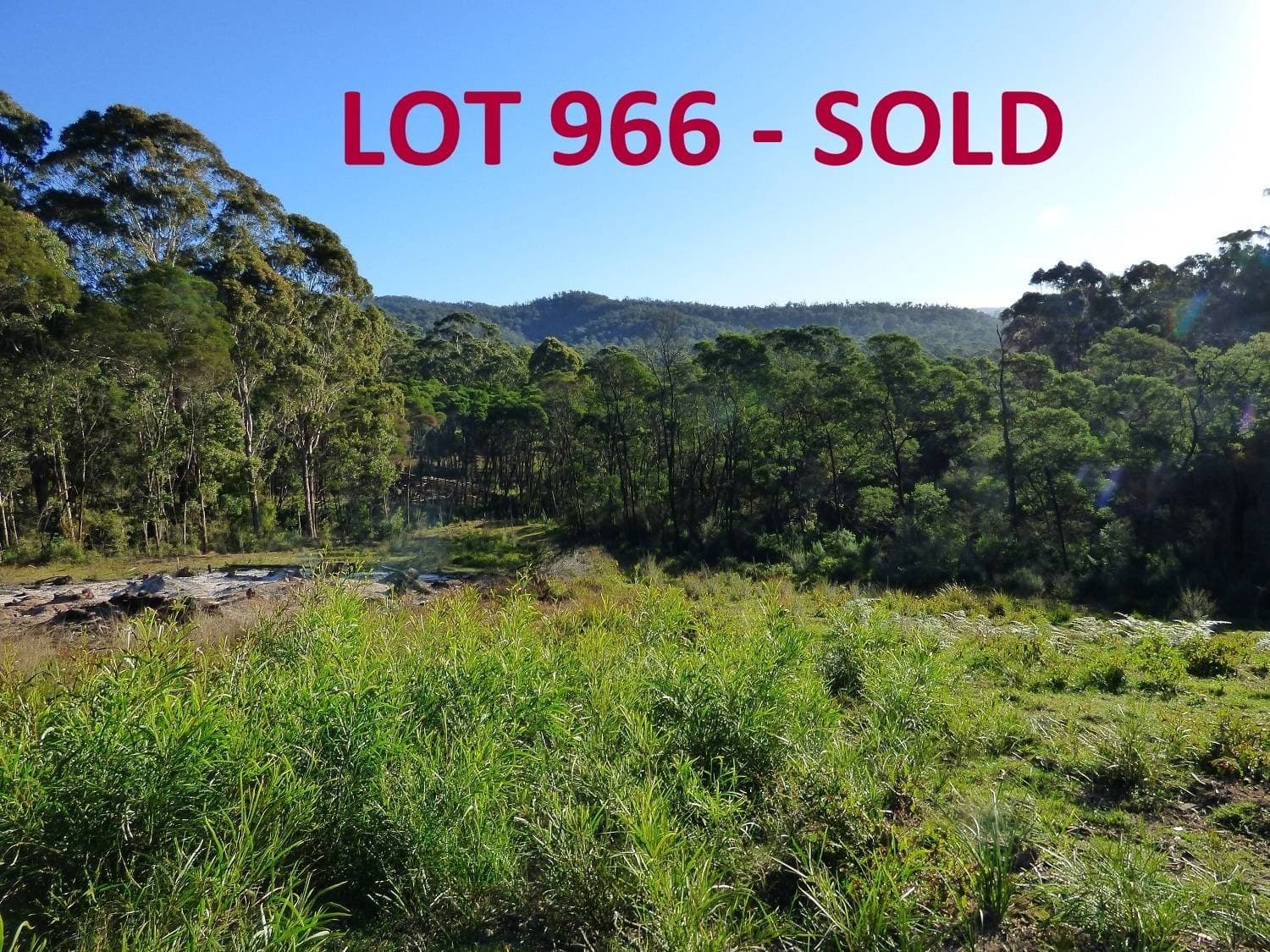 Lots 967 & 966 Back Creek Road, Nethercote, Nethercote - Thumbnail 2