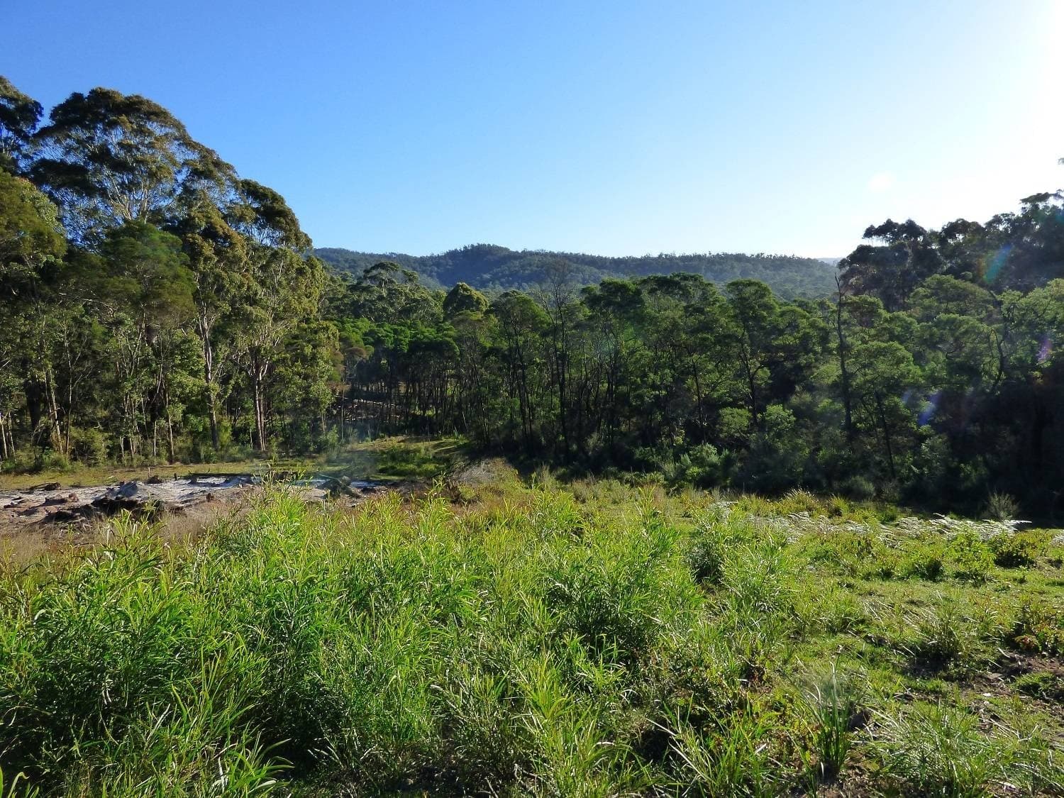967 Back Creek Road, Nethercote - Thumbnail 2