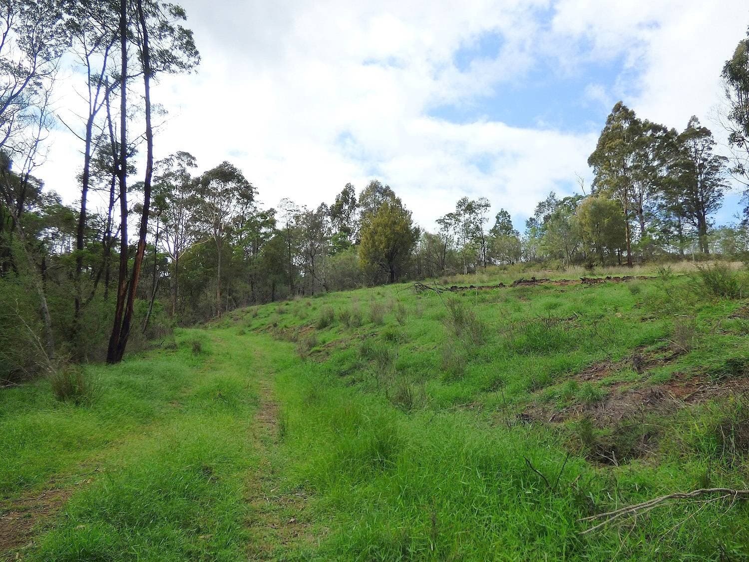 967 Back Creek Road, Nethercote - Thumbnail 4