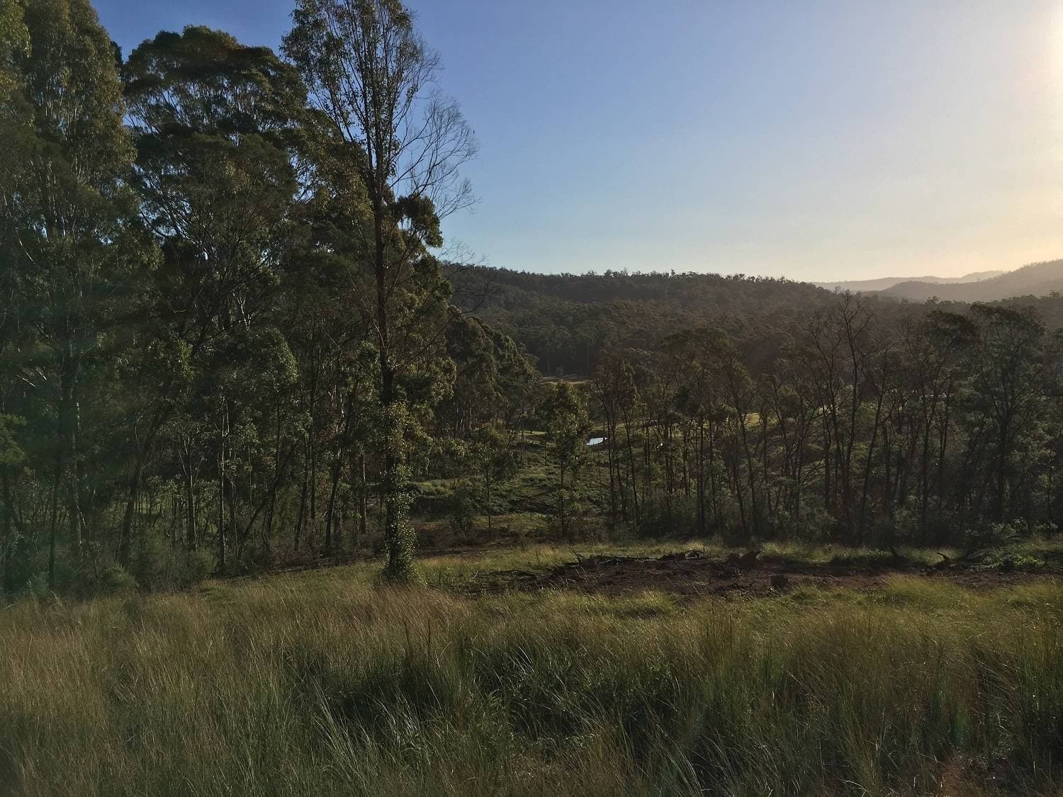967 Back Creek Road, Nethercote - Thumbnail 6