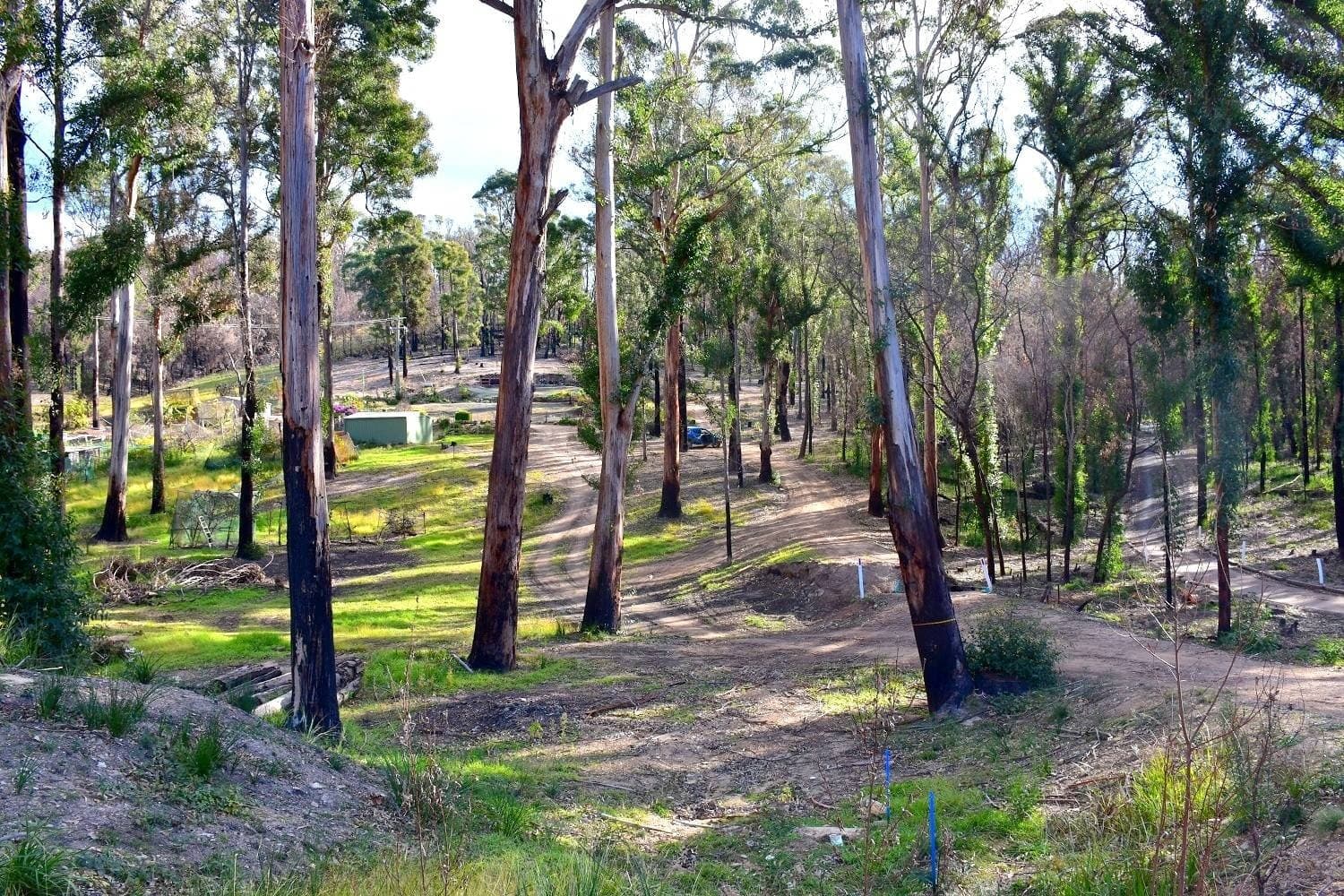 38 Yarran Rd BOYDTOWN Via, Eden, Eden - Image 1