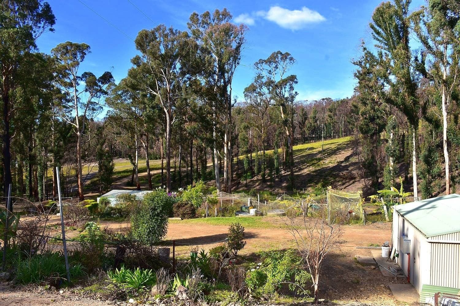 38 Yarran Rd BOYDTOWN Via, Eden, Eden - Thumbnail 2